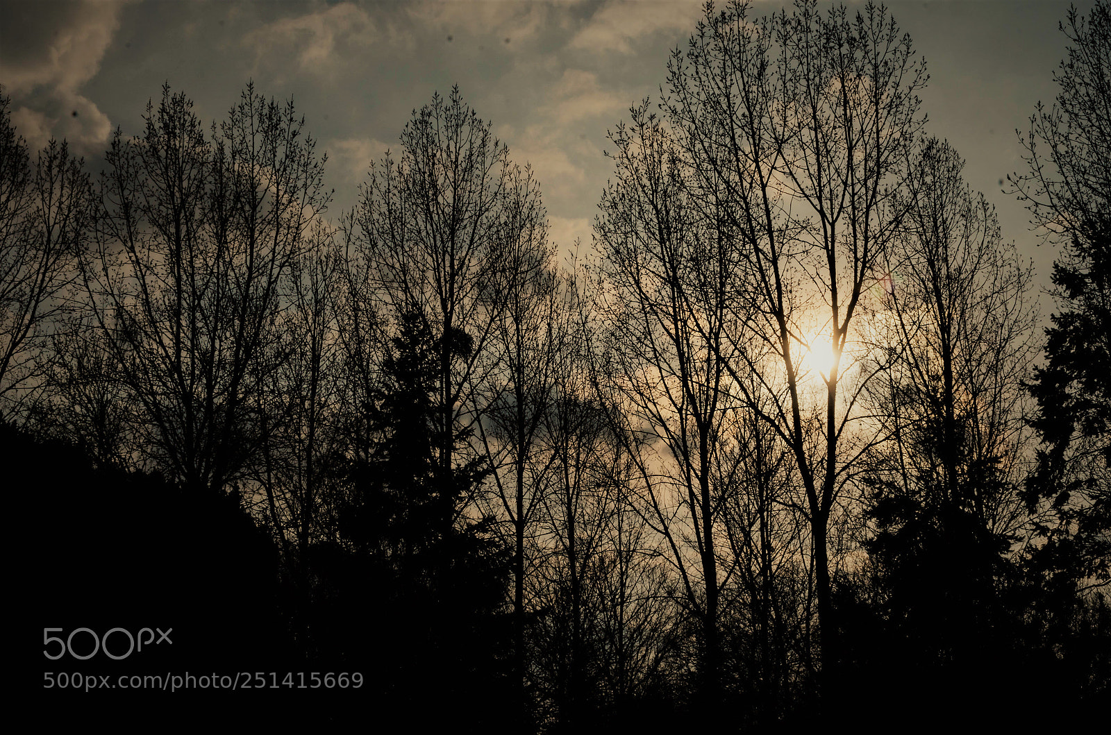 Nikon D7000 sample photo. Sunset in normandy photography