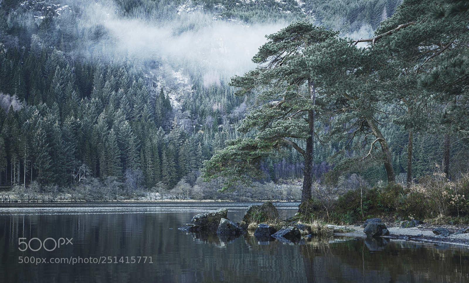 Sony a7R sample photo. Jubilee point, loch eck photography