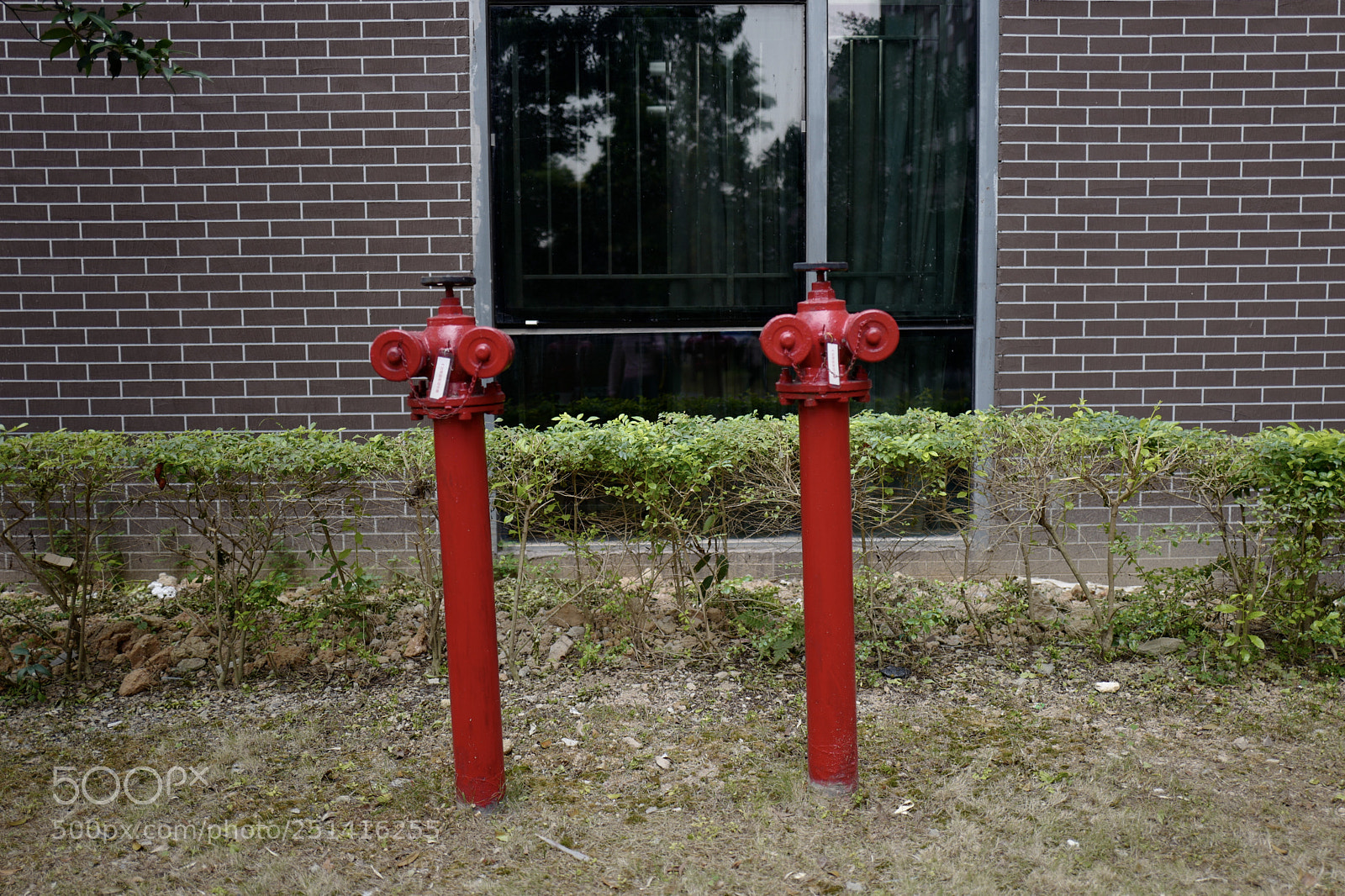 Leica Q (Typ 116) sample photo. 無主題之我也不知道為什麼拍這張 photography