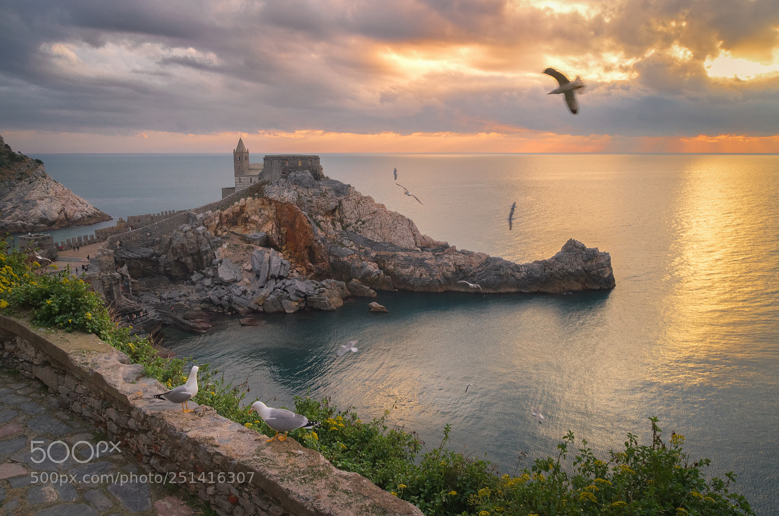 Pentax K-5 sample photo. Portovenere and seagulls photography