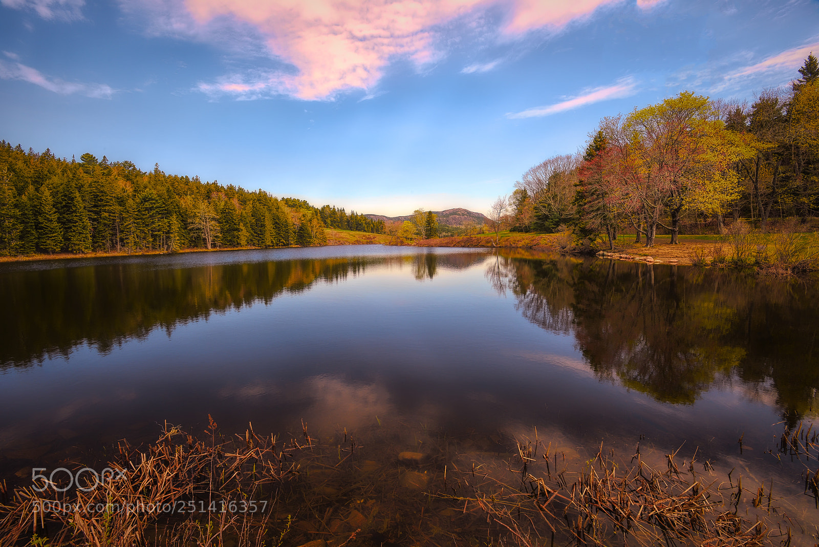 Nikon D810 sample photo. Little long pond photography