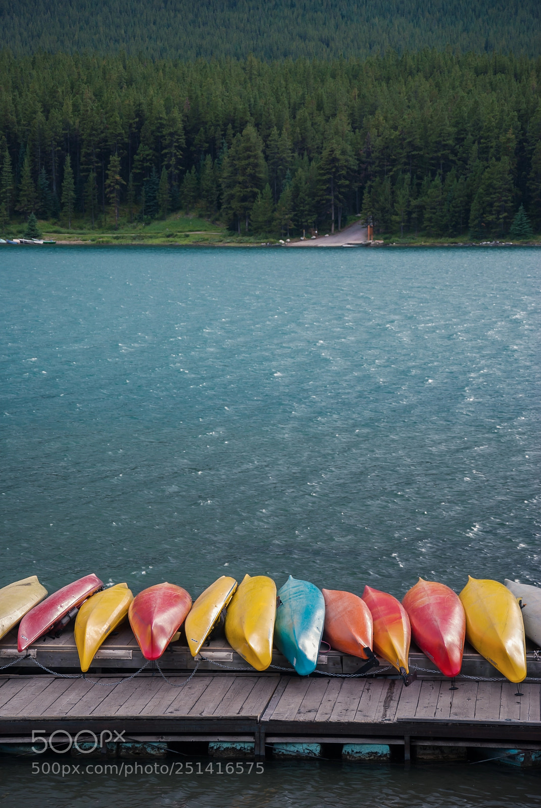 Nikon D60 sample photo. Canoes in canada photography