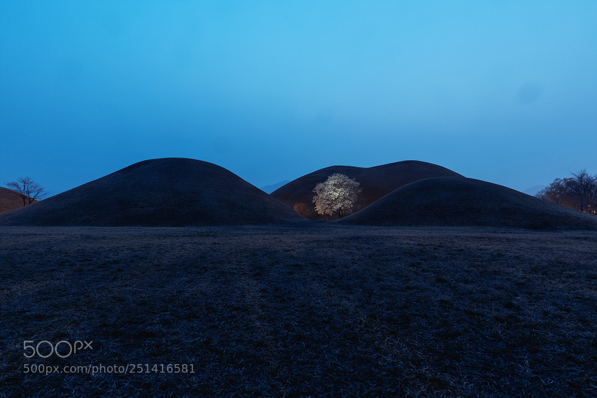 Canon EOS 5D Mark IV sample photo. Tombs of the kings photography