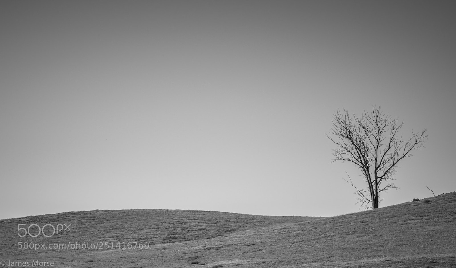 Nikon D3300 sample photo. Lone tree photography