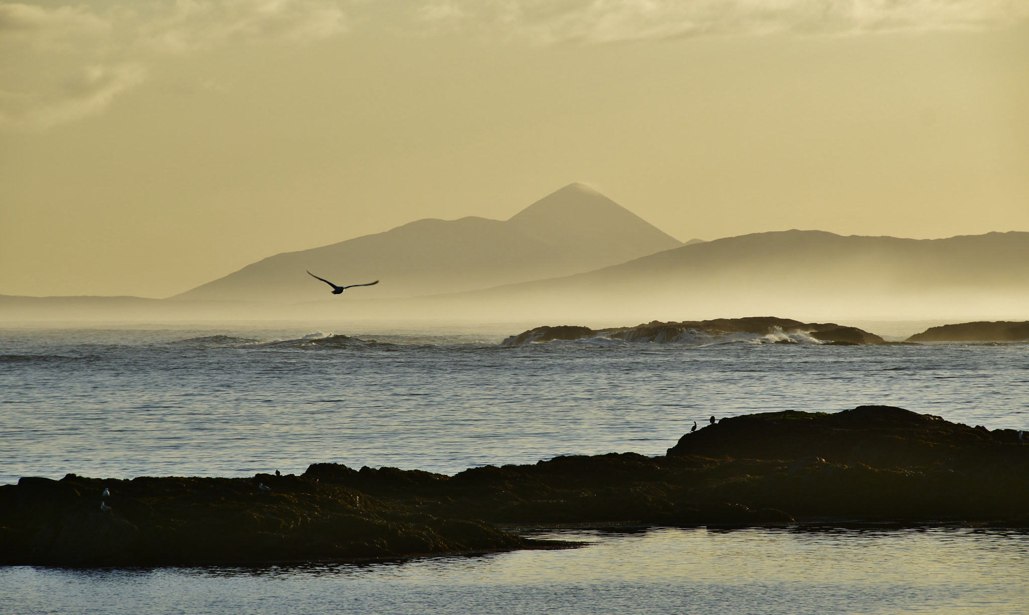 Nikon D5500 sample photo. Croagh patrick and the sea birds photography