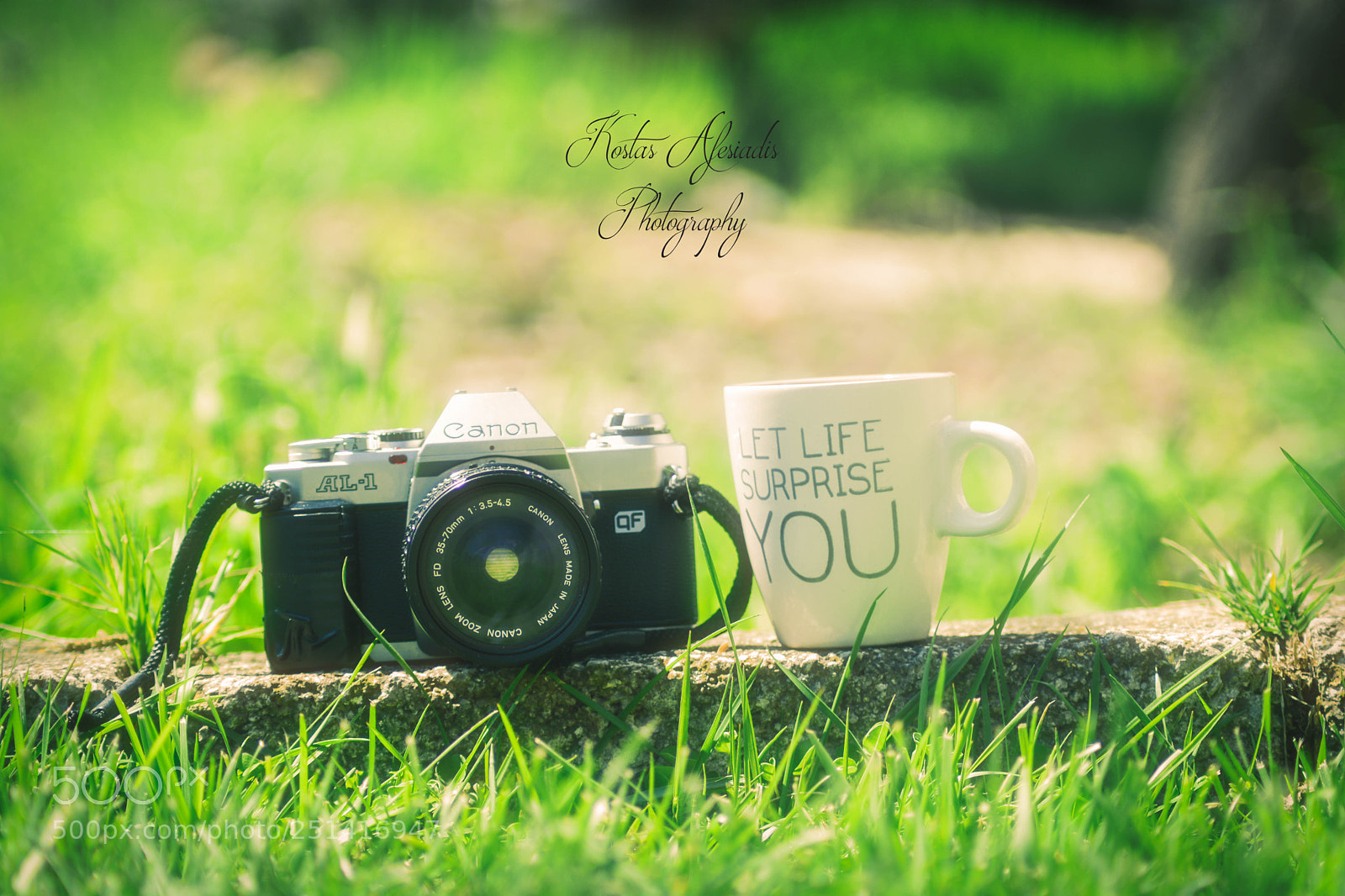Nikon D5200 sample photo. Let life surprise you photography