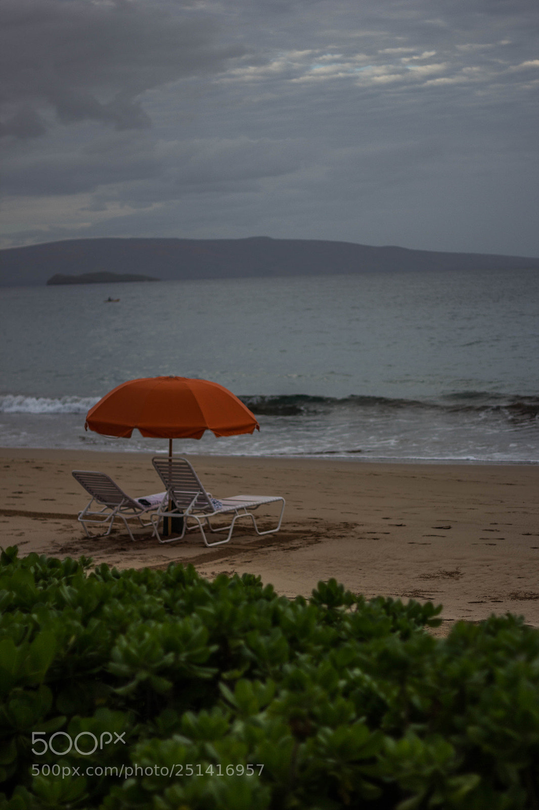 Canon EOS 60D sample photo. Untitled photography