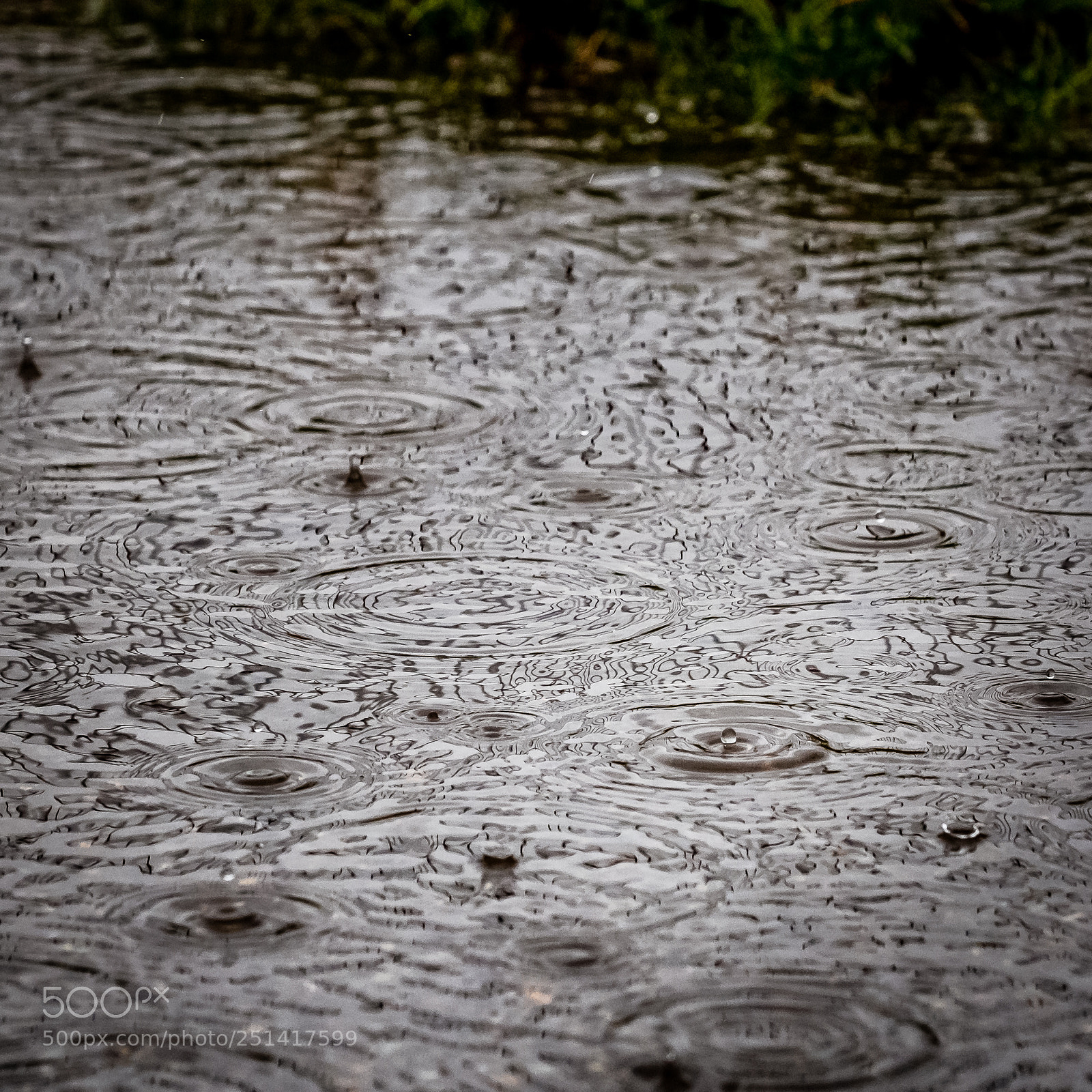 Fujifilm X-Pro2 sample photo. Patterns in a puddle photography
