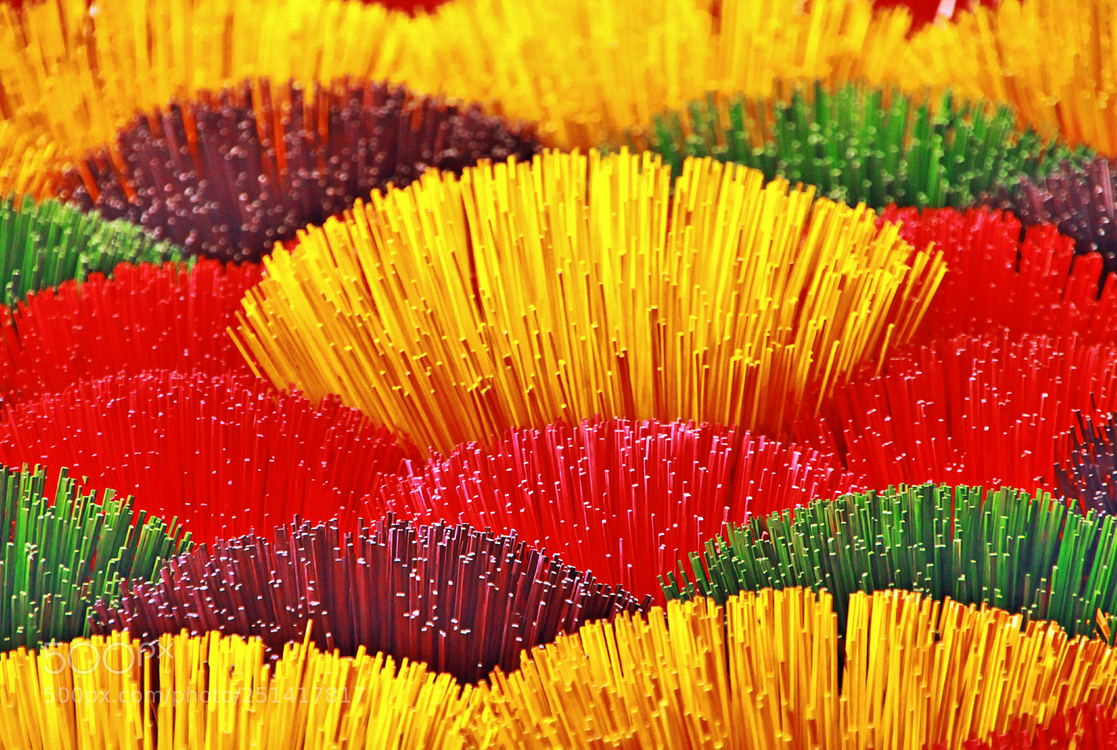 Canon EOS 50D sample photo. A flower of incense photography