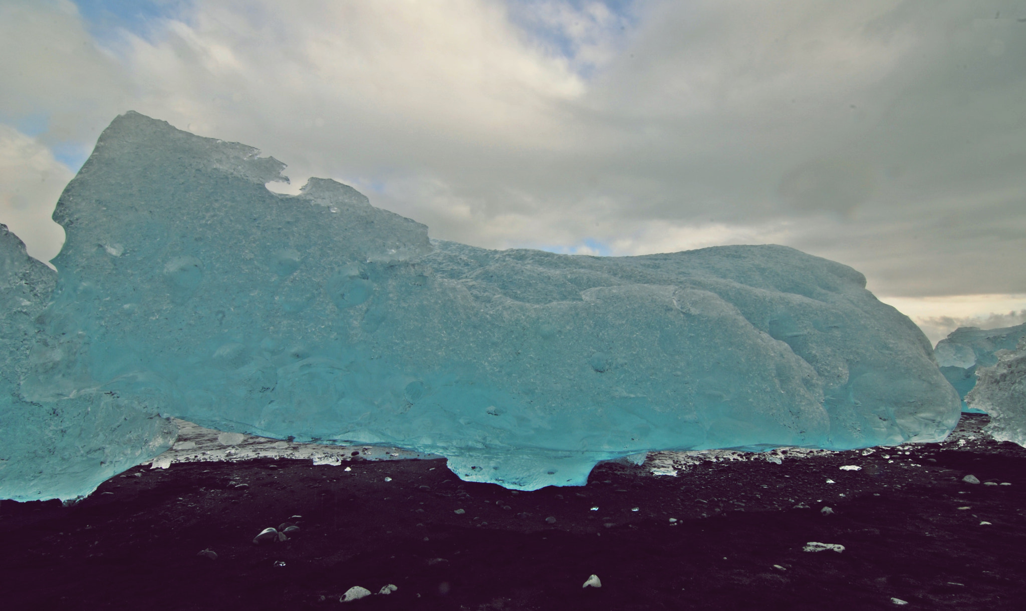 Nikon D3000 sample photo. Big frozen mashroom photography