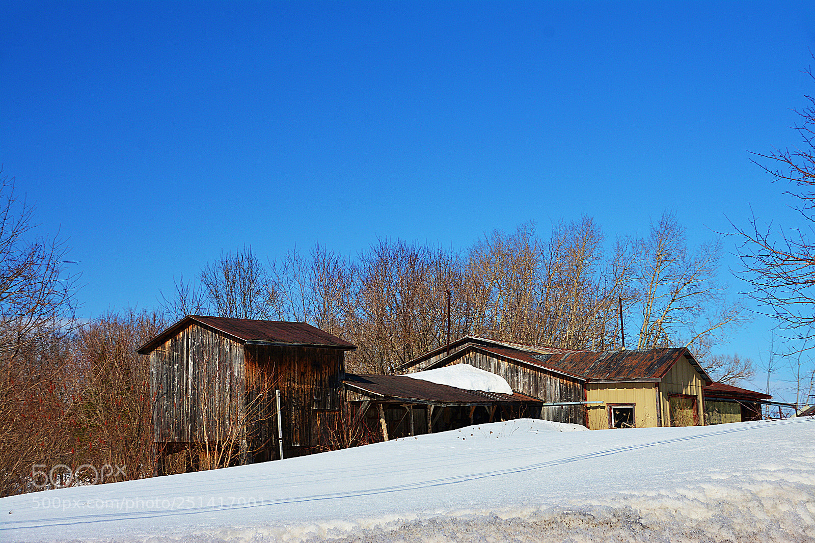 Nikon D7100 sample photo. Spécial
 photography