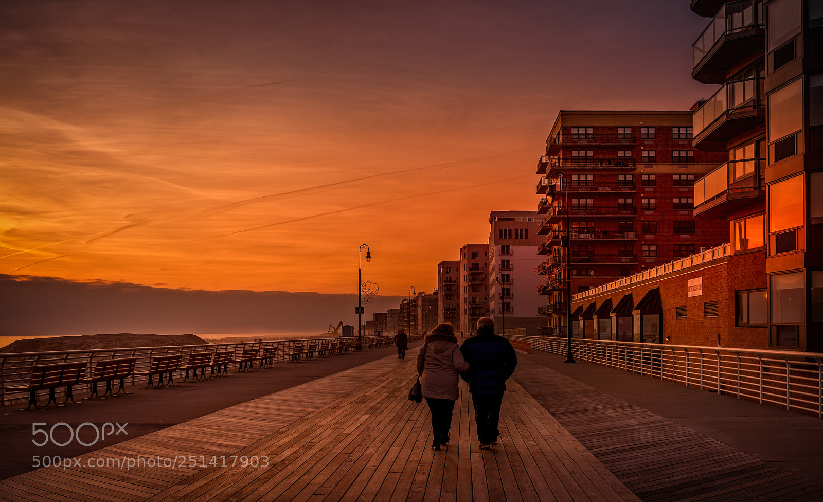 Nikon D810 sample photo. Winter stroll photography