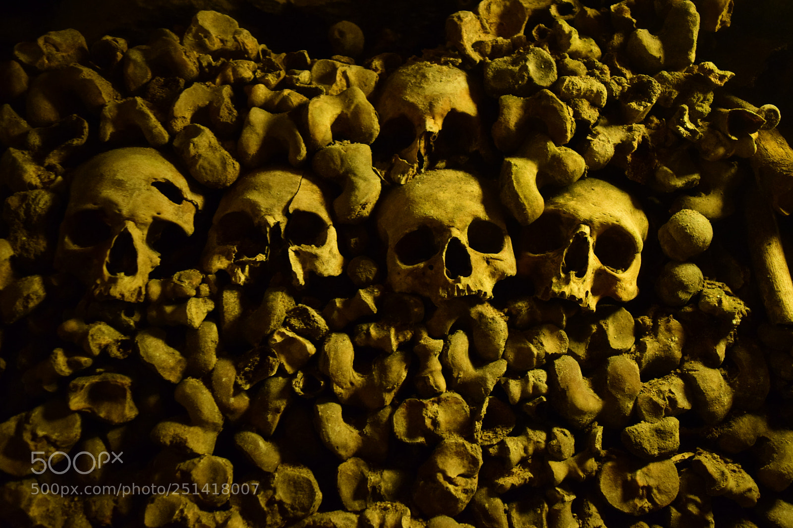 Nikon D3300 sample photo. Skeleton photography