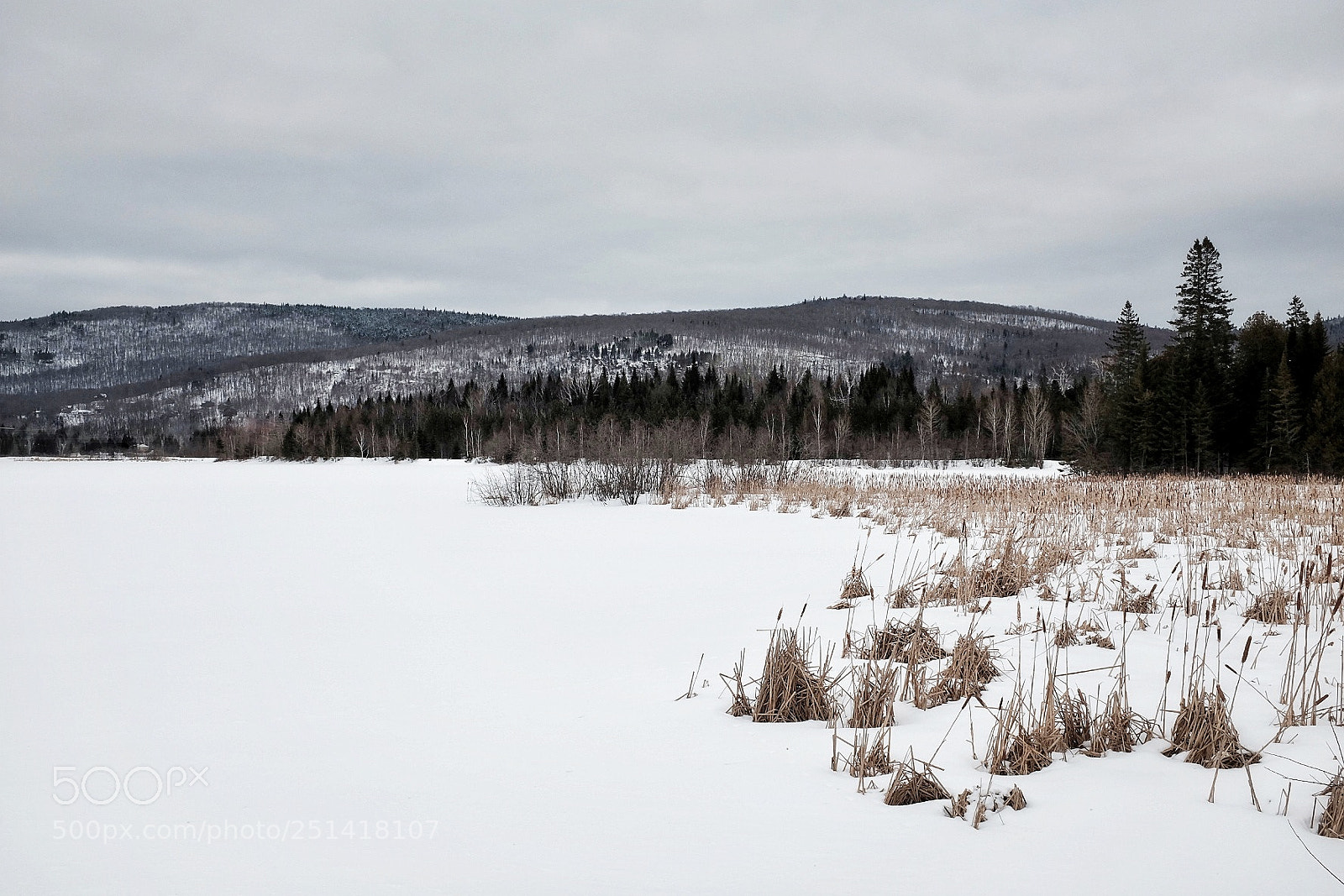 Fujifilm X100T sample photo. Western snow photography