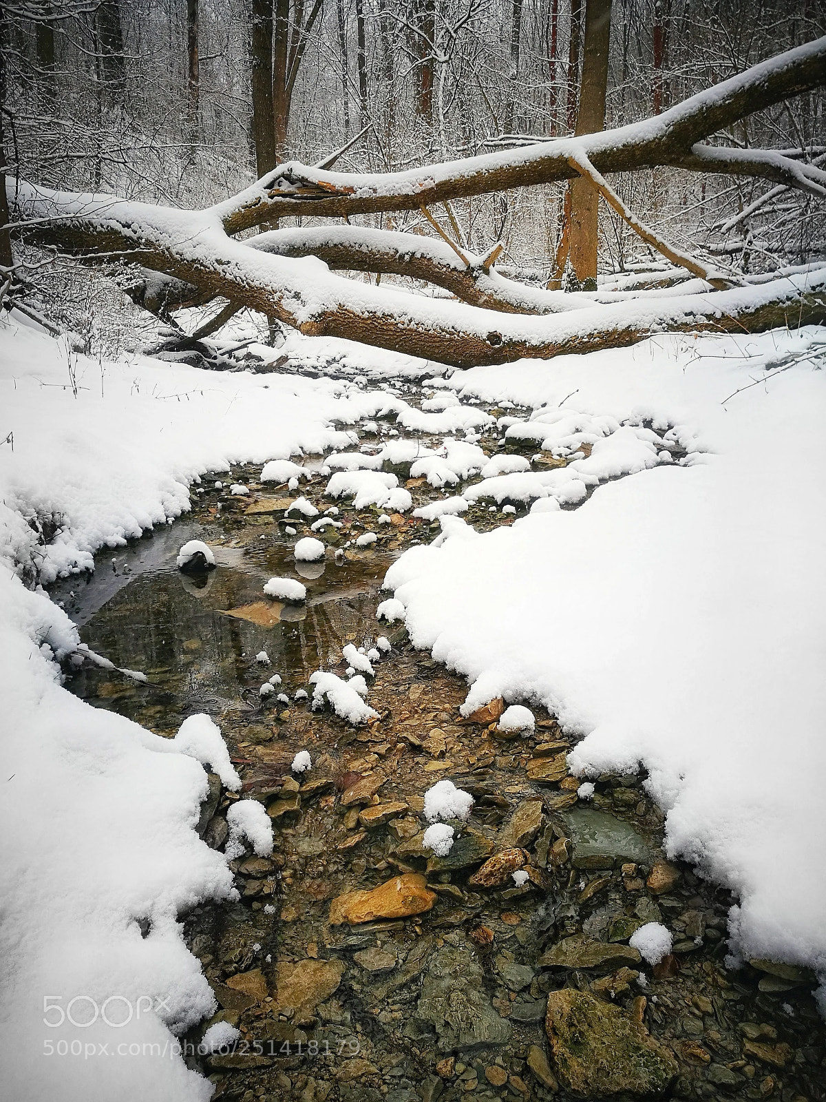 HUAWEI P9 Plus sample photo. Snow on stone photography