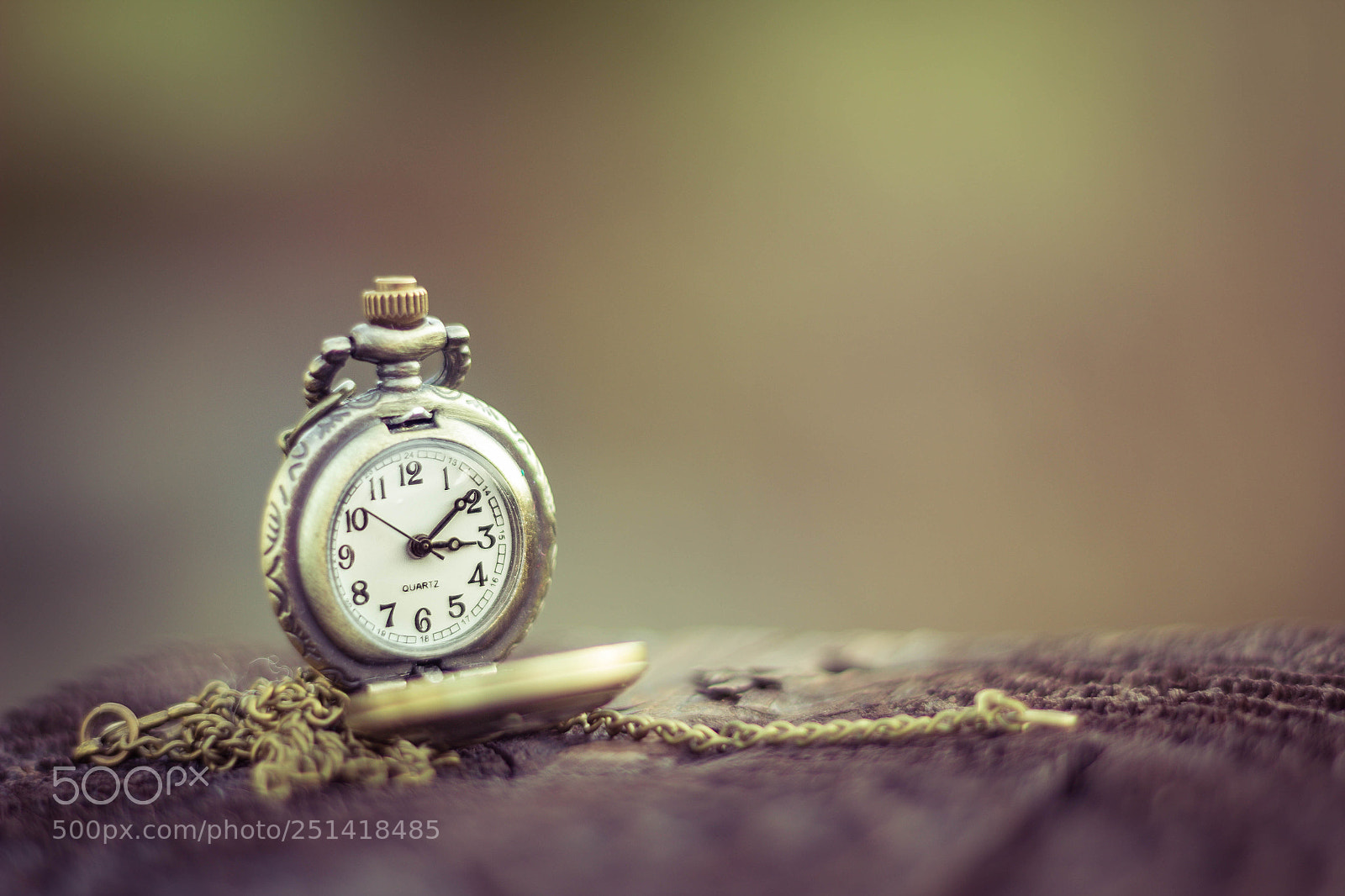 Canon EOS 600D (Rebel EOS T3i / EOS Kiss X5) sample photo. Time flies photography