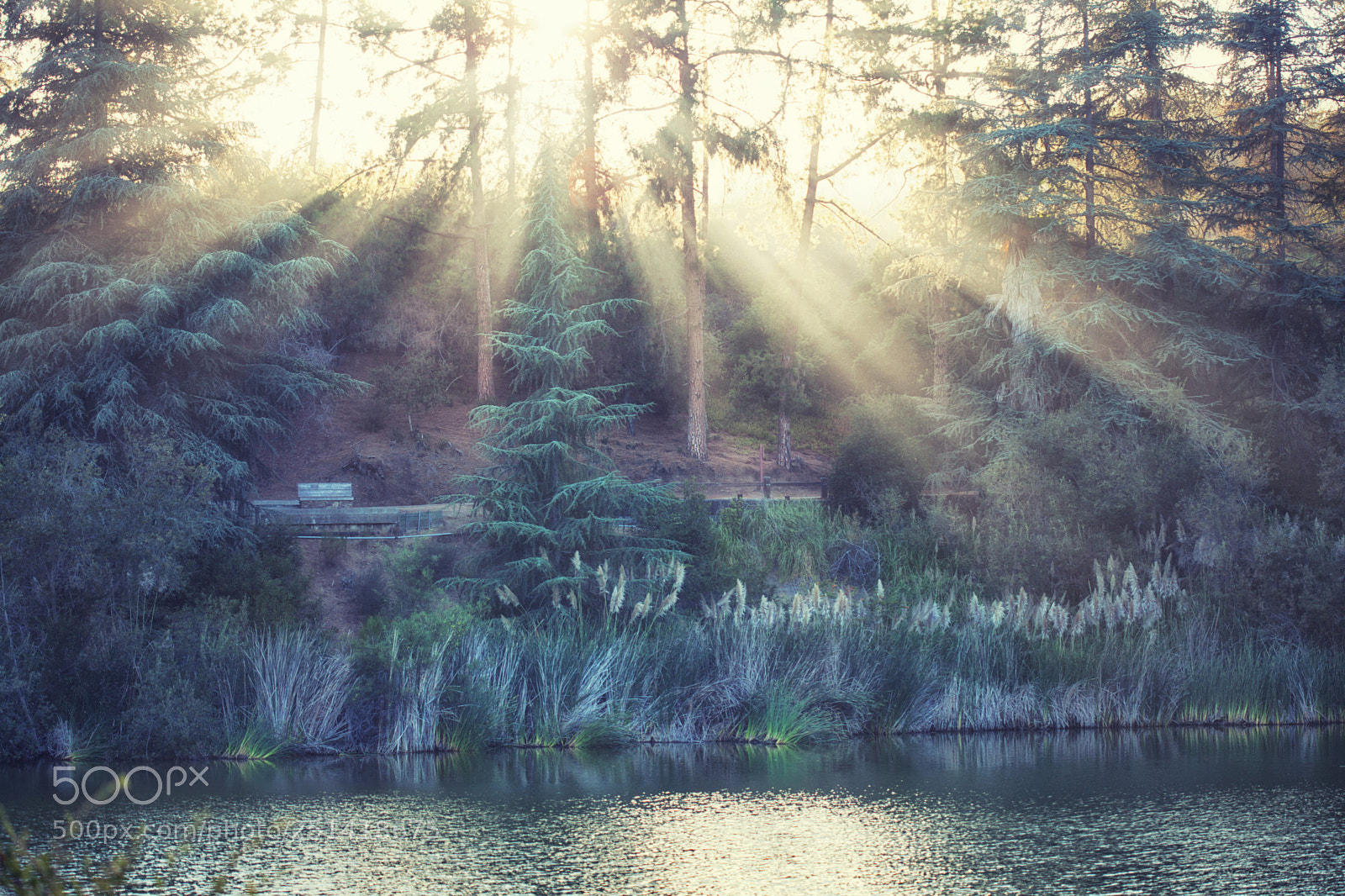 Canon EOS 5D Mark II sample photo. Magical countryside landscape franklin photography