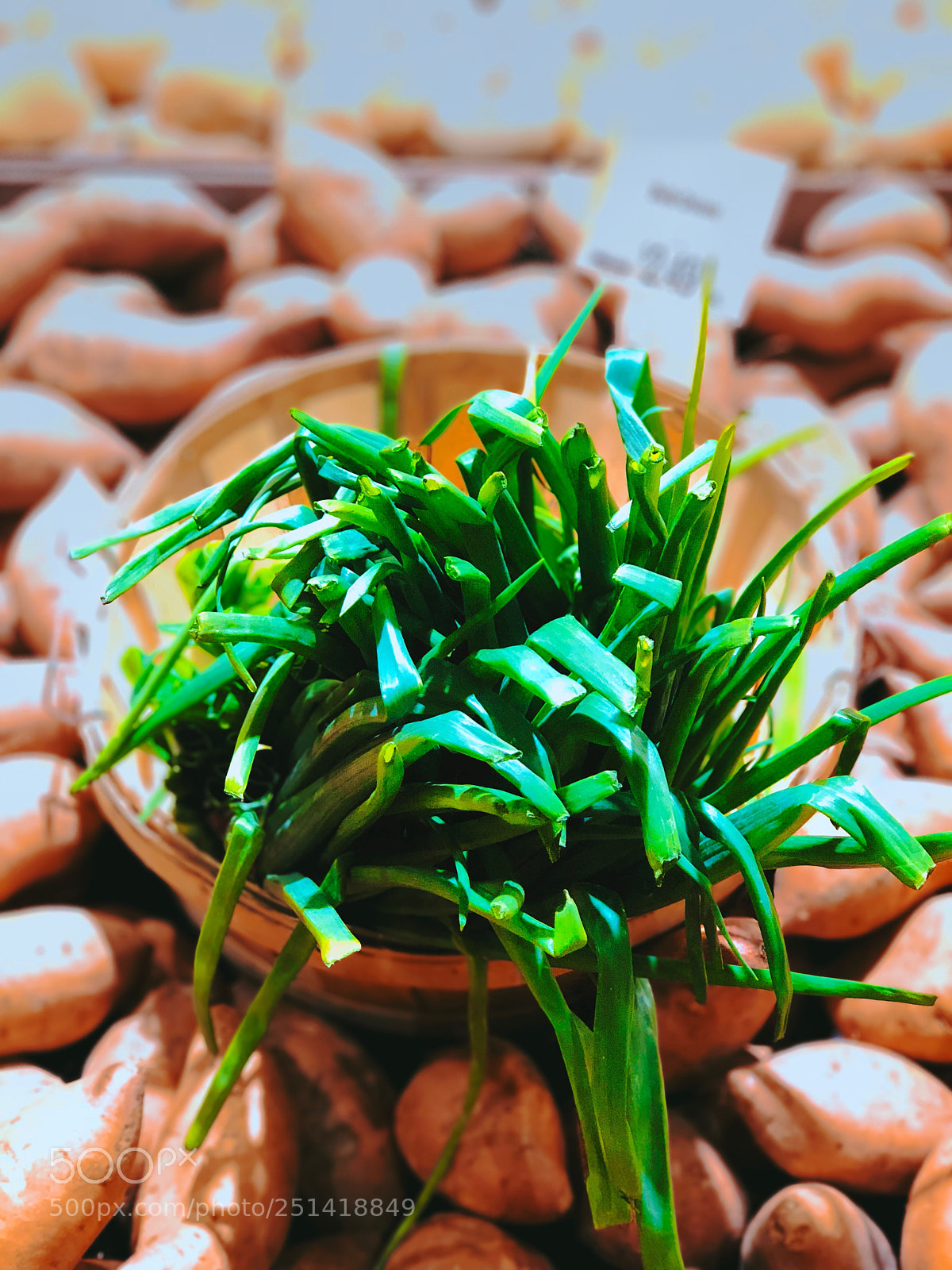 Apple iPhone 8 Plus sample photo. Spring onions  photography