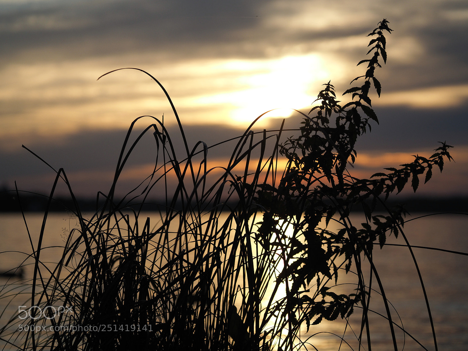 Olympus OM-D E-M10 sample photo. Sunset over a lake photography