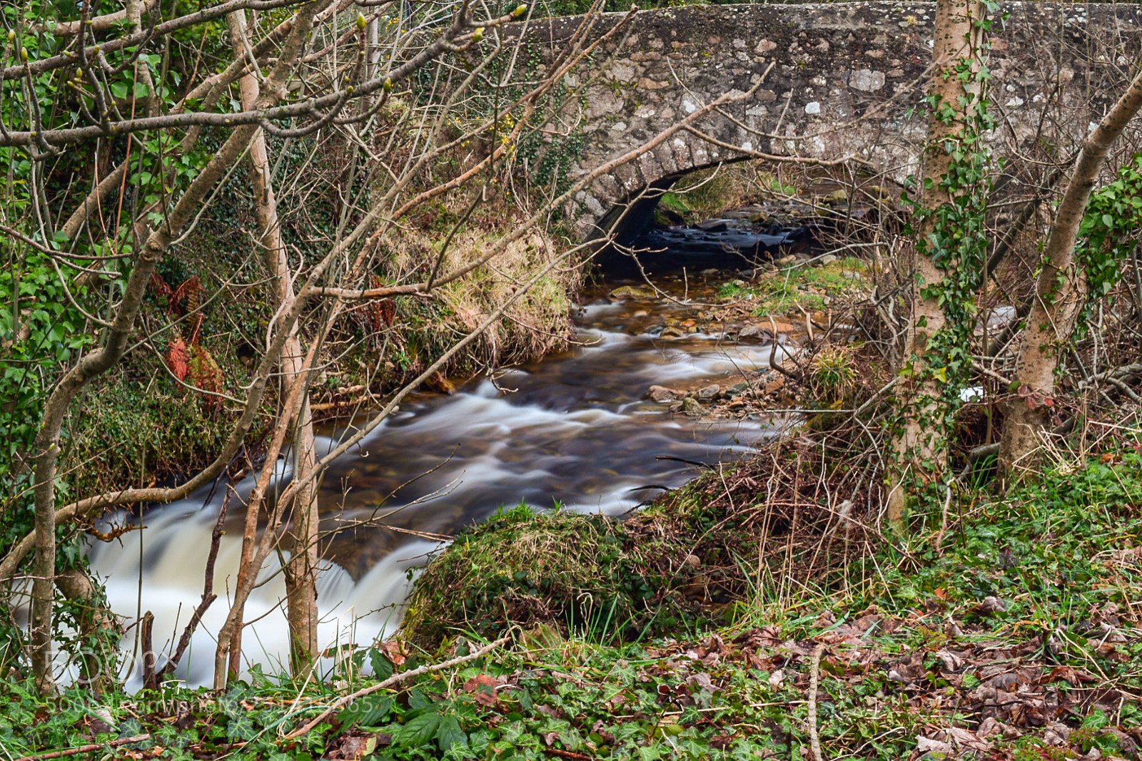 Nikon D5300 sample photo. Old bridge photography