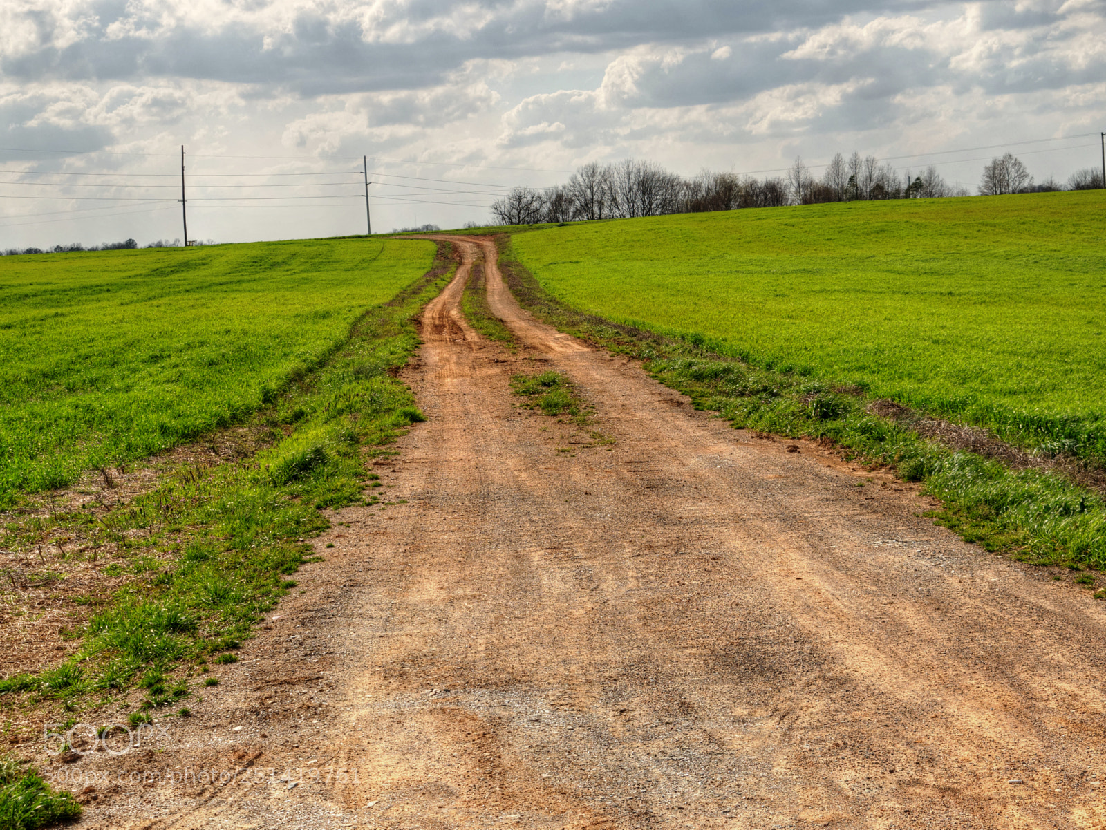 Panasonic Lumix DMC-G85 (Lumix DMC-G80) sample photo. Country driveway photography