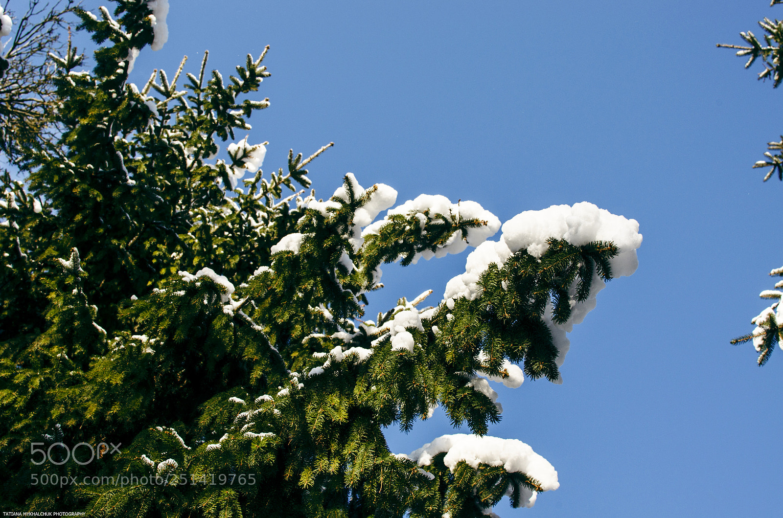 Nikon D5100 sample photo. Winterwiew photography