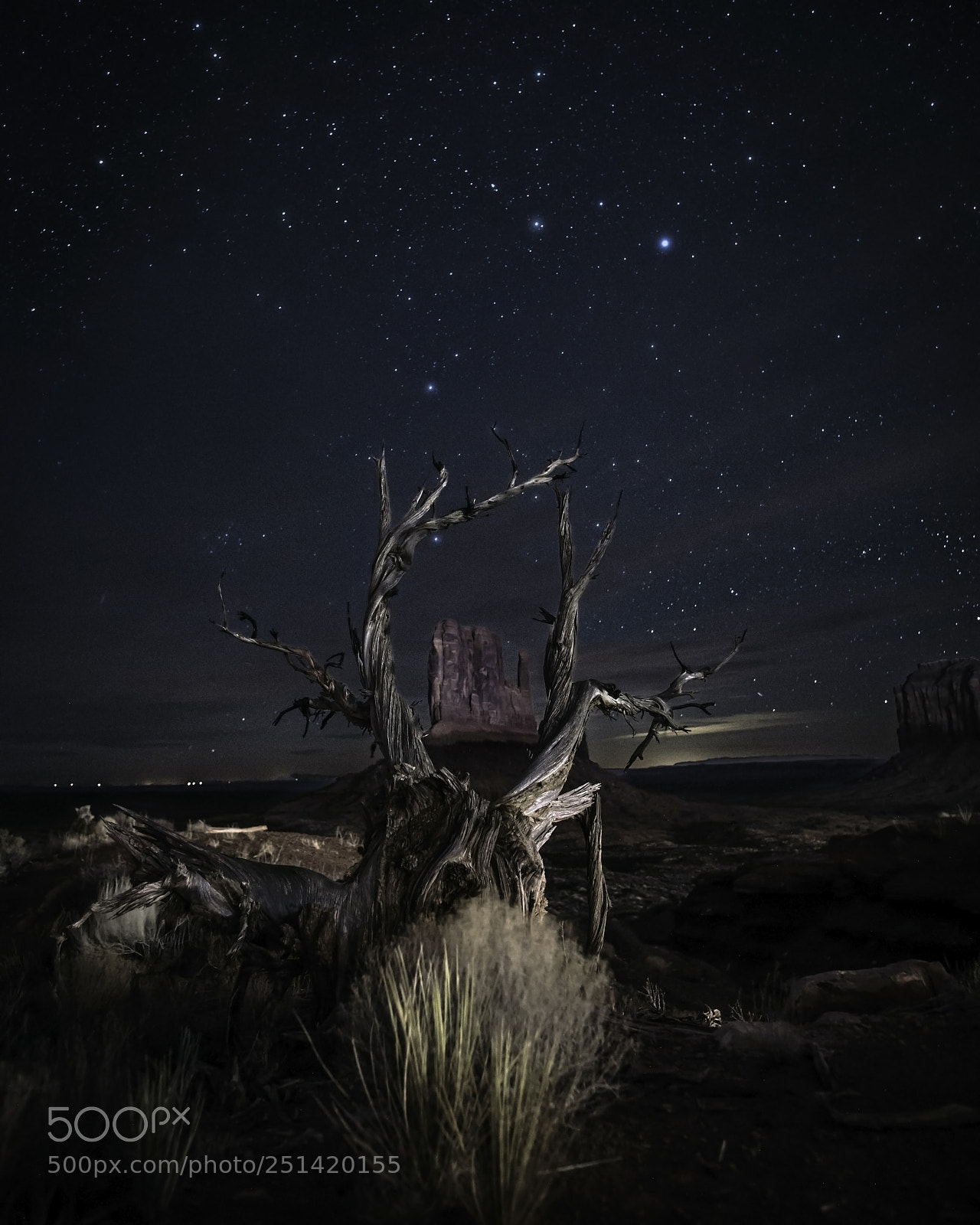 Nikon D810 sample photo. Frame it organically photography