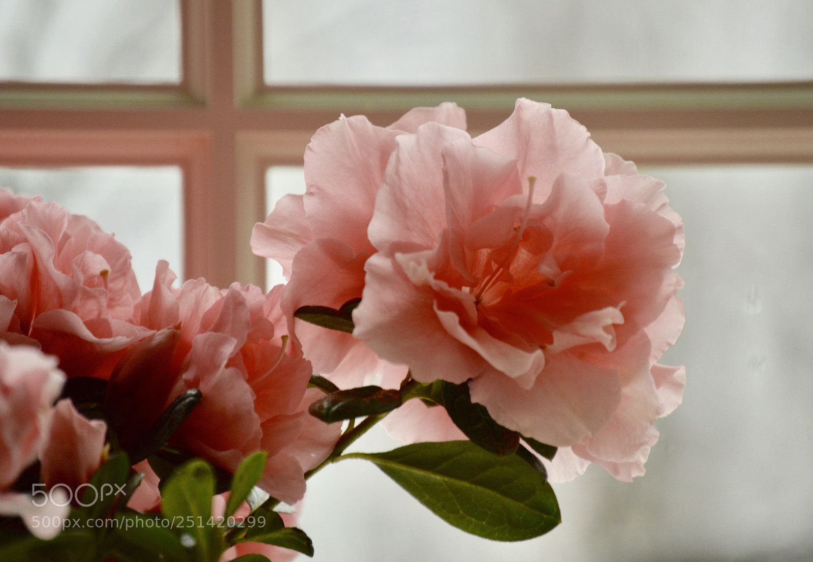 Nikon D3200 sample photo. Untitled photography