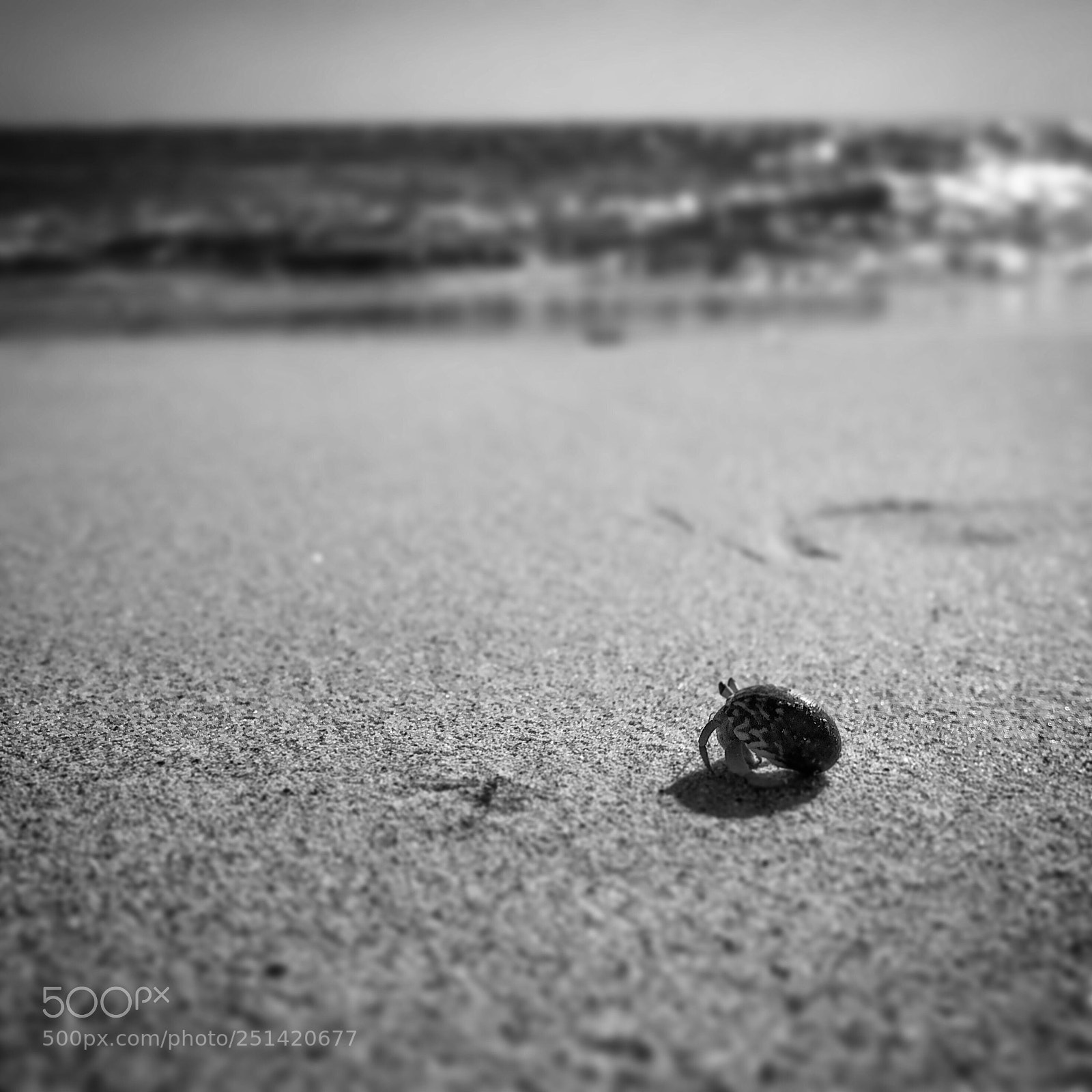 Apple iPhone 8 sample photo. Little escape photography