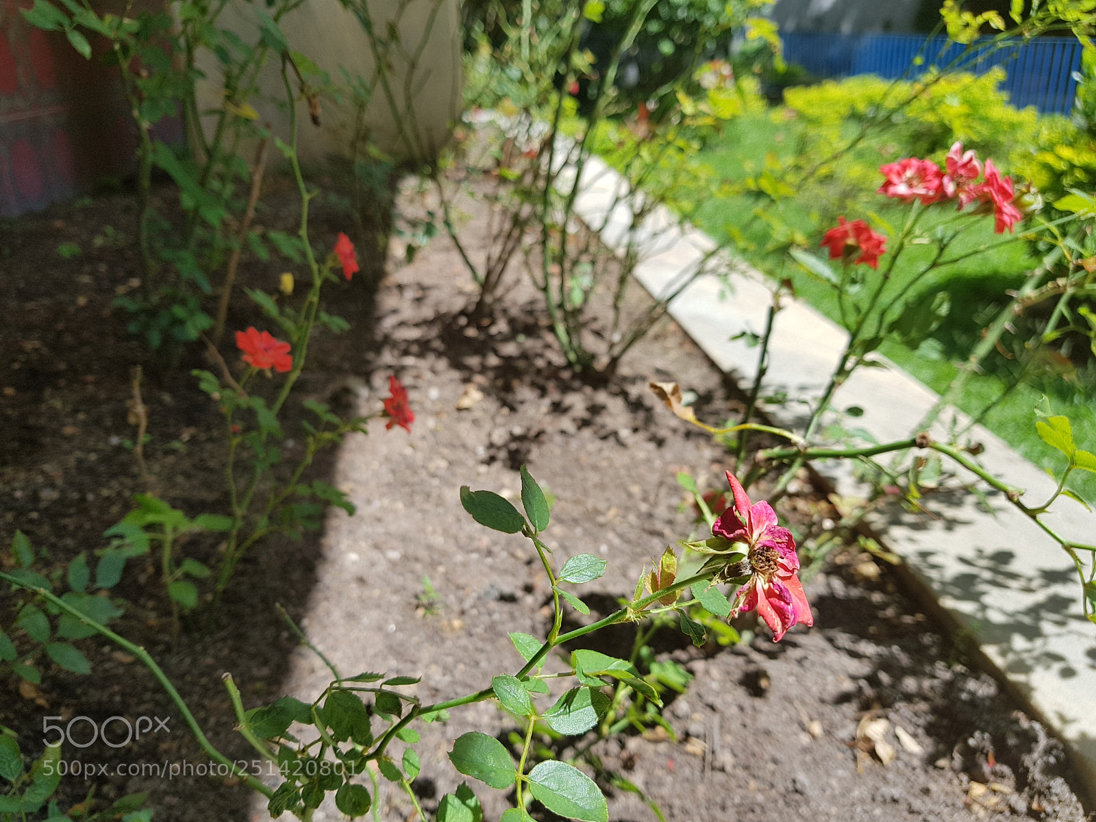 Samsung Galaxy S8 sample photo. Untitled photography