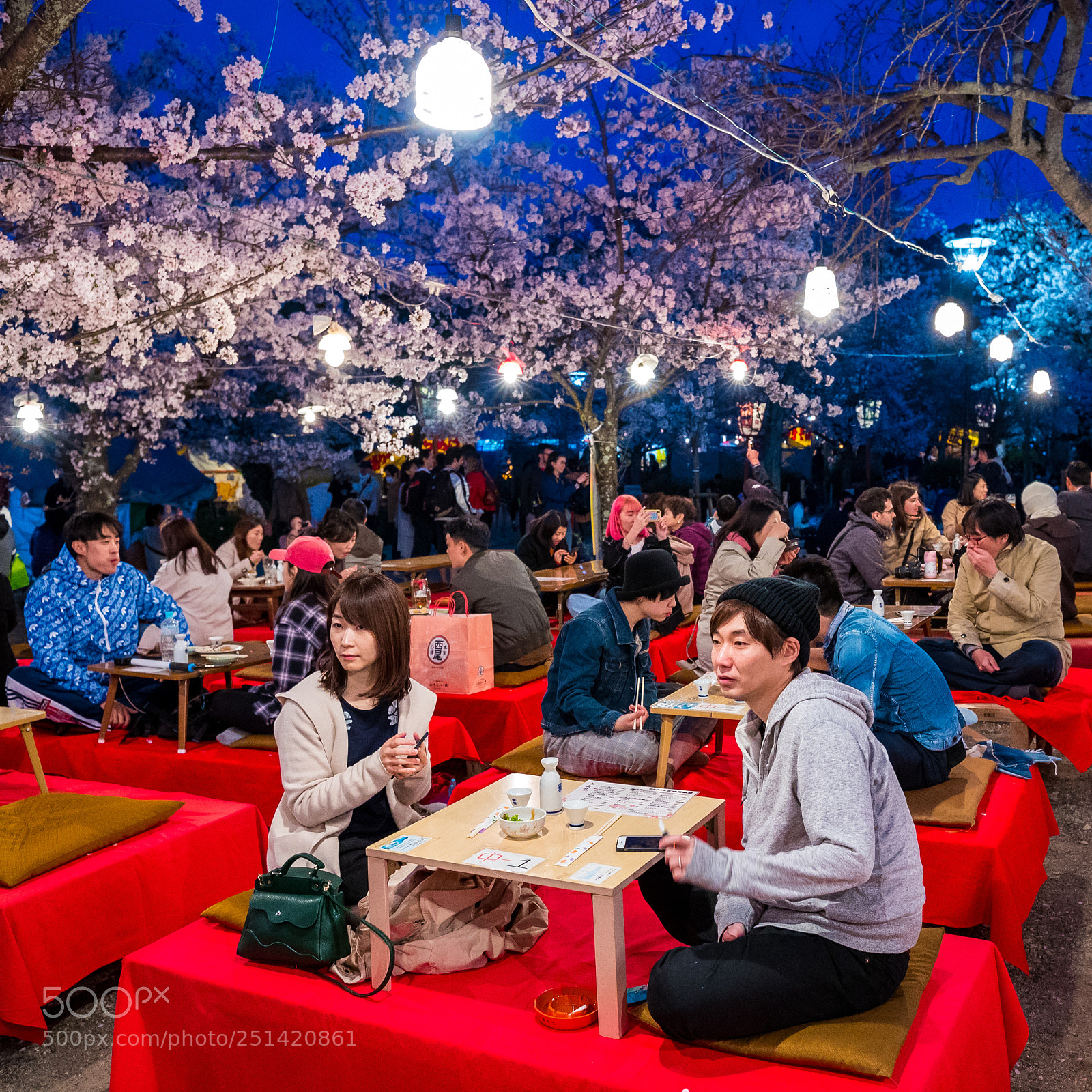 Canon EOS-1D X Mark II sample photo. Dx photography
