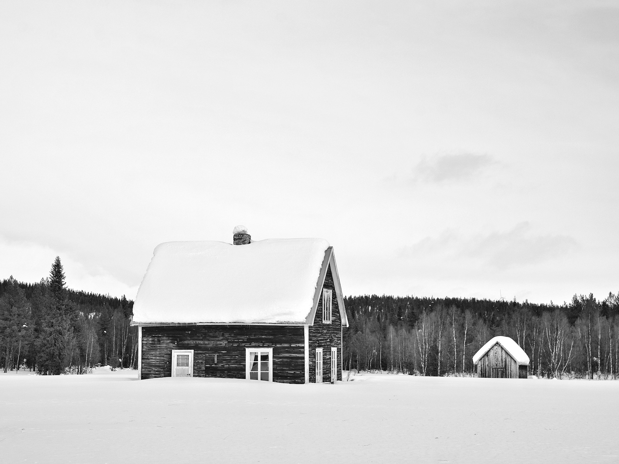 Nikon D5100 sample photo. Lapland noir photography