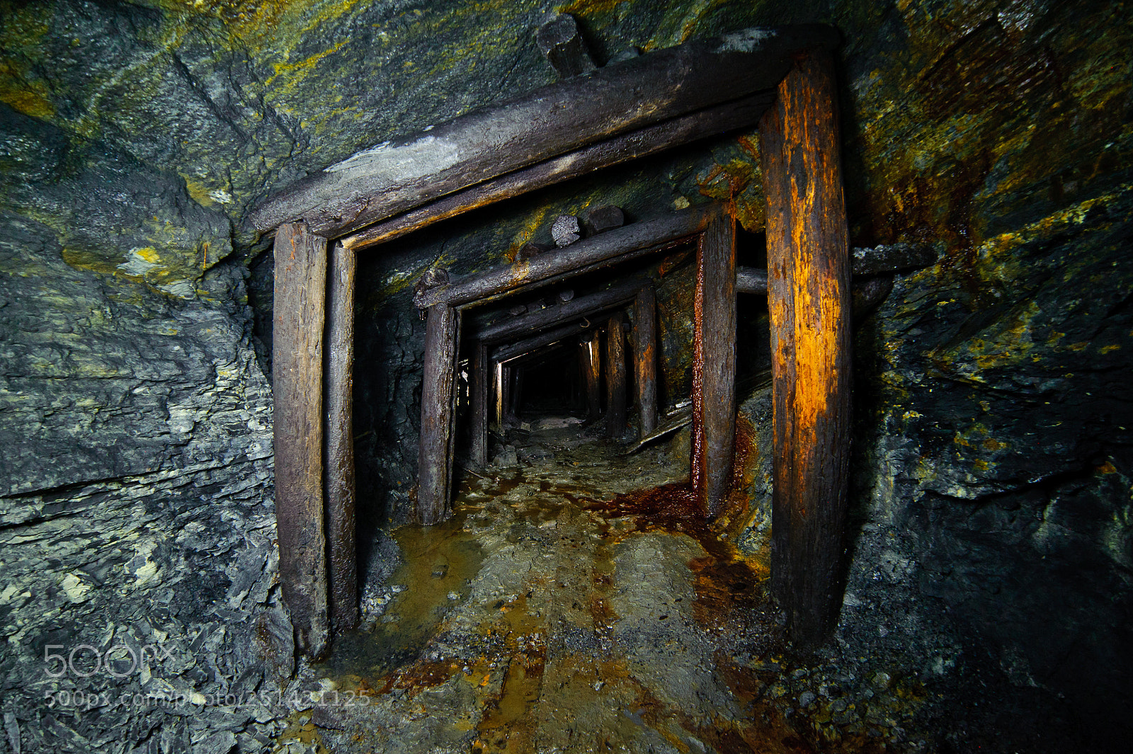 Nikon D700 sample photo. В старой шахте photography