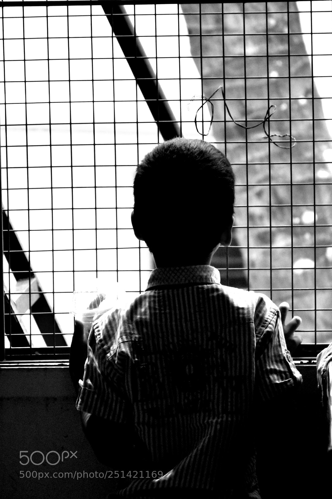 Nikon D5600 sample photo. Boy photography
