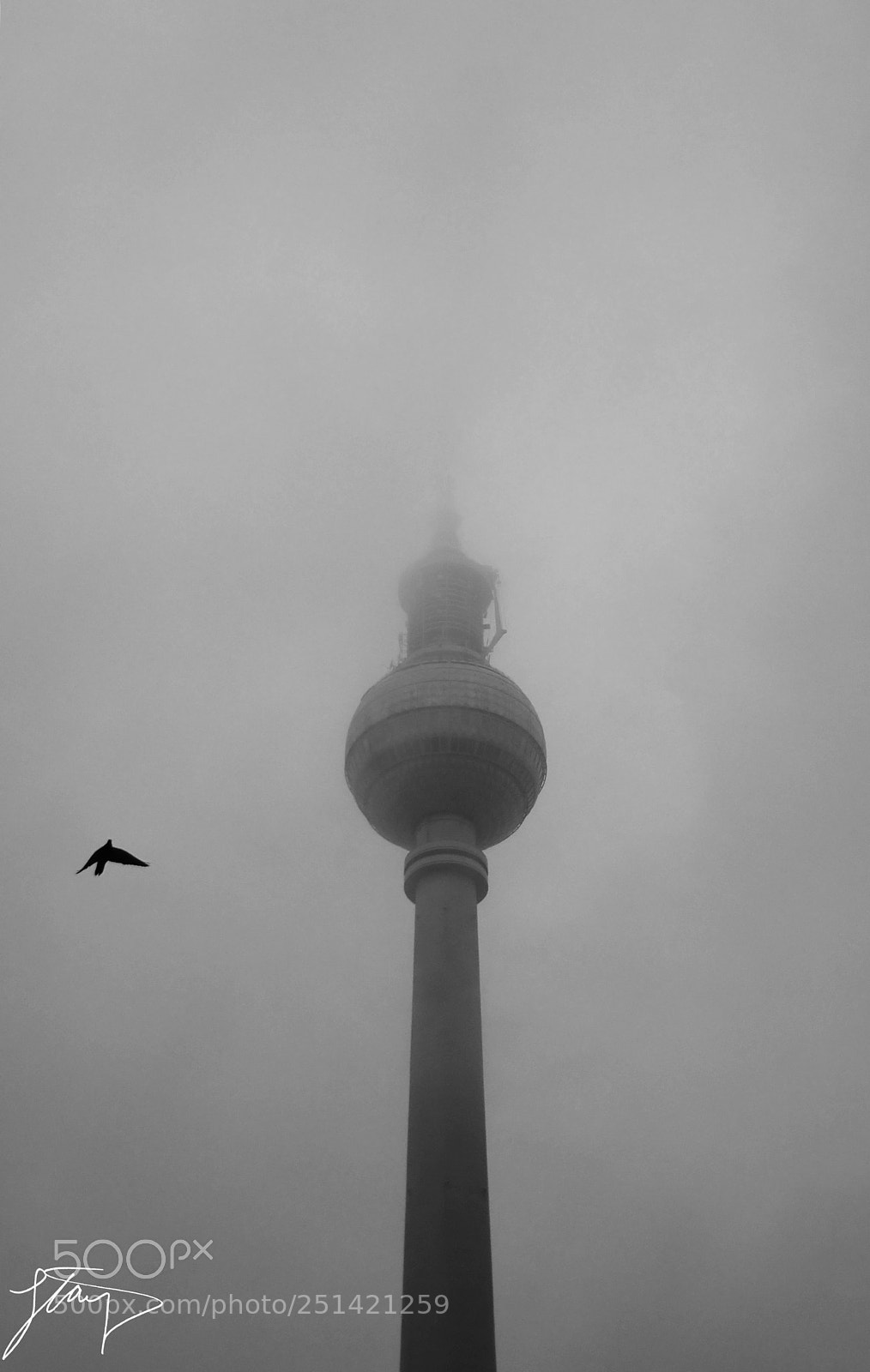 Nikon D60 sample photo. Just a pin photography