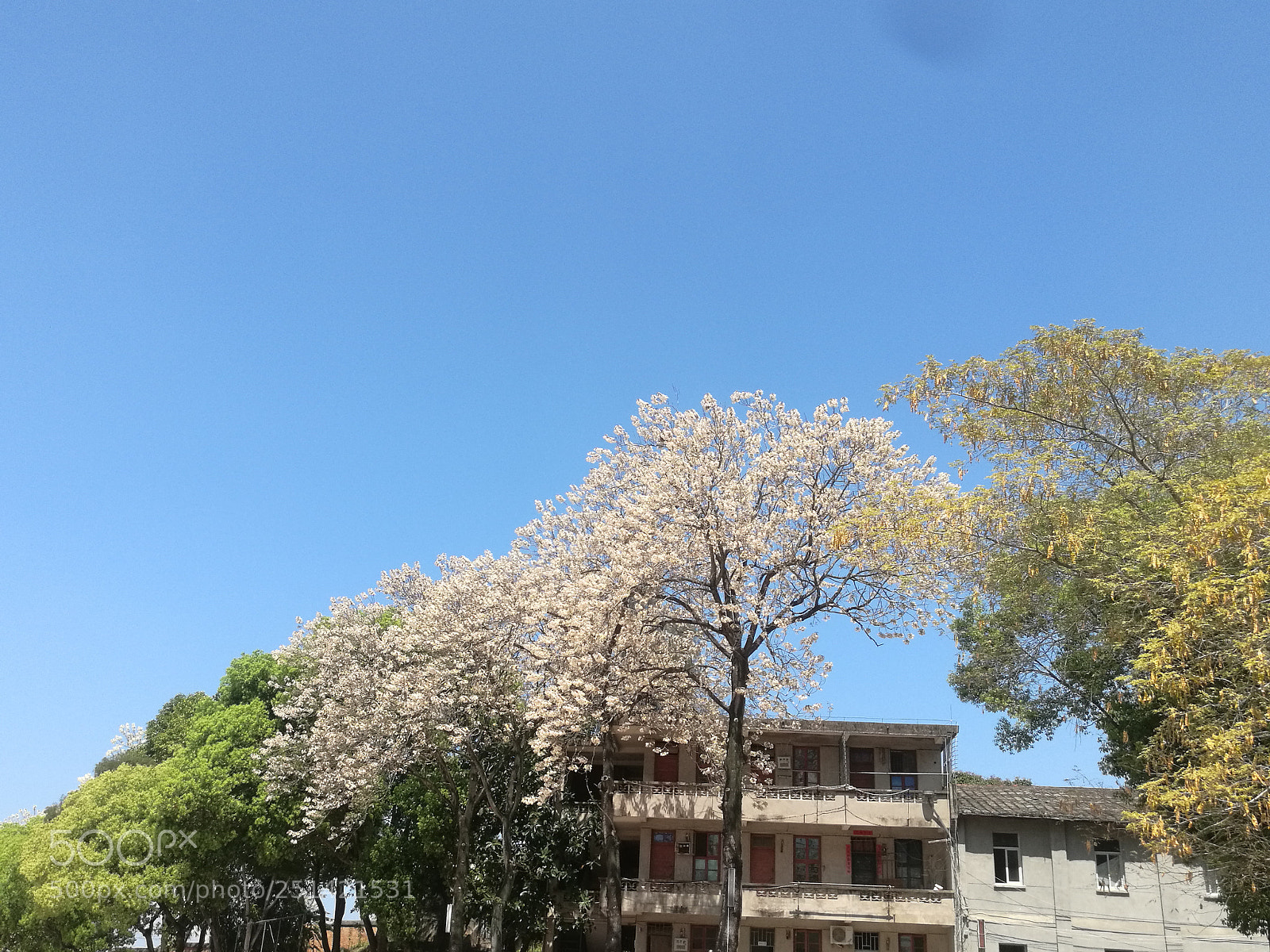 HUAWEI Mate 8 sample photo. Untitled photography