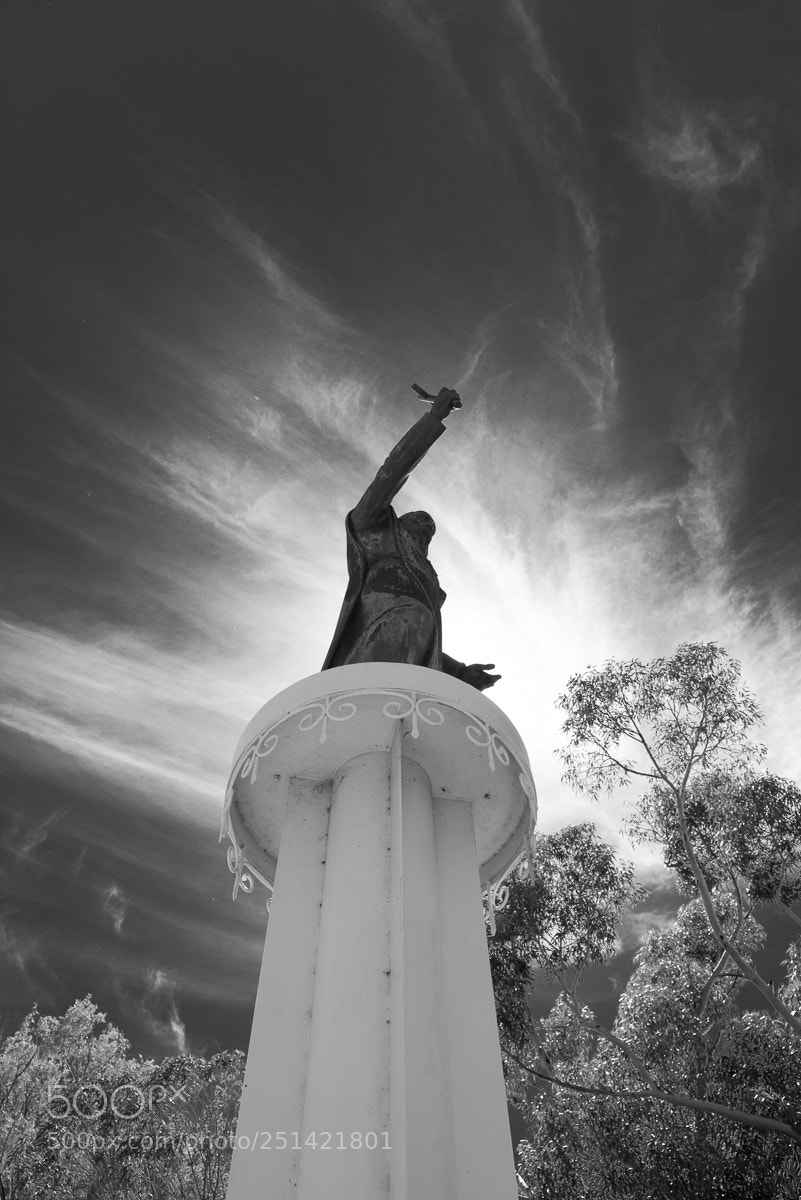 Nikon D610 sample photo. Standing alone photography