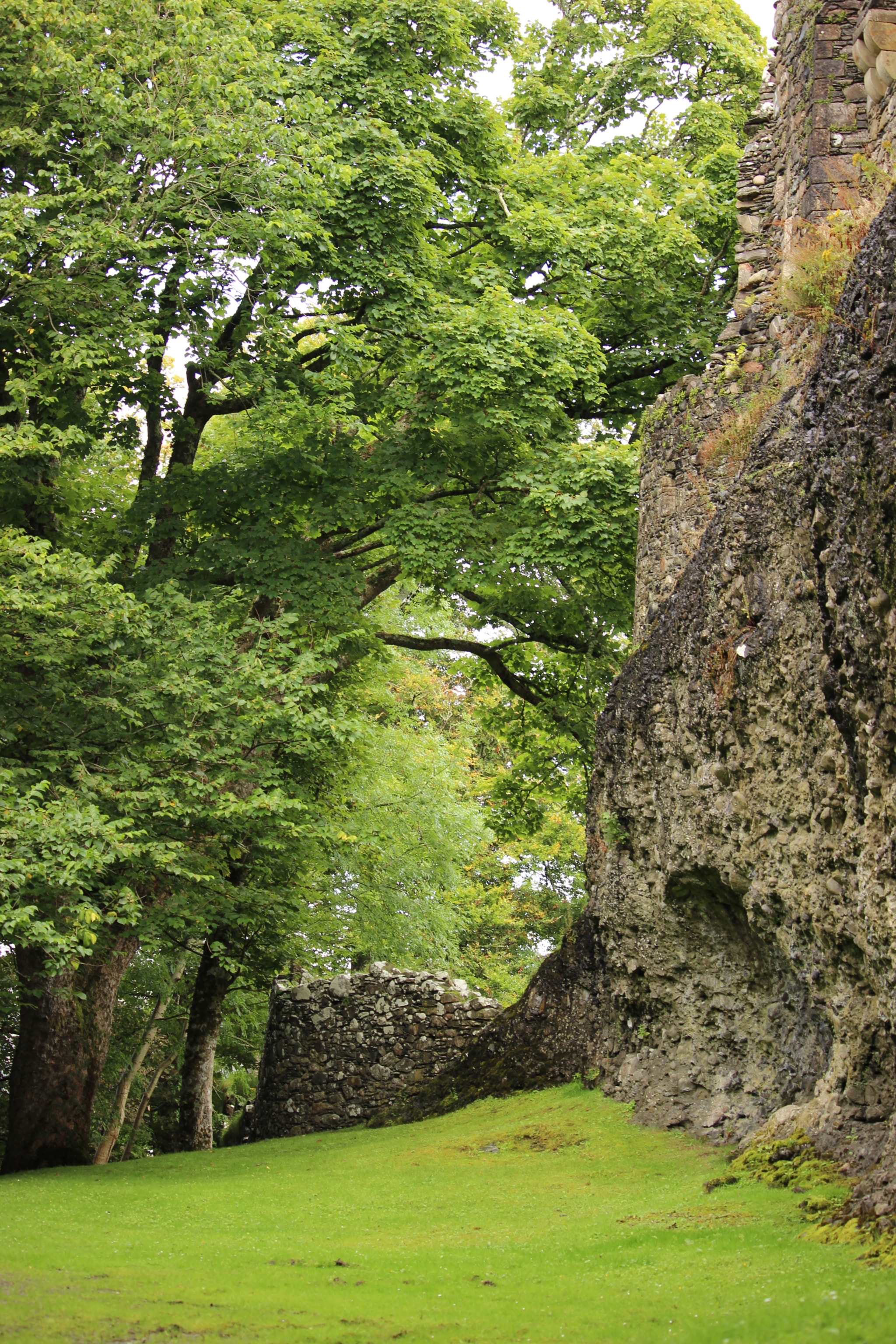 Canon EF-S 55-250mm F4-5.6 IS STM sample photo. Ruins in the forest photography