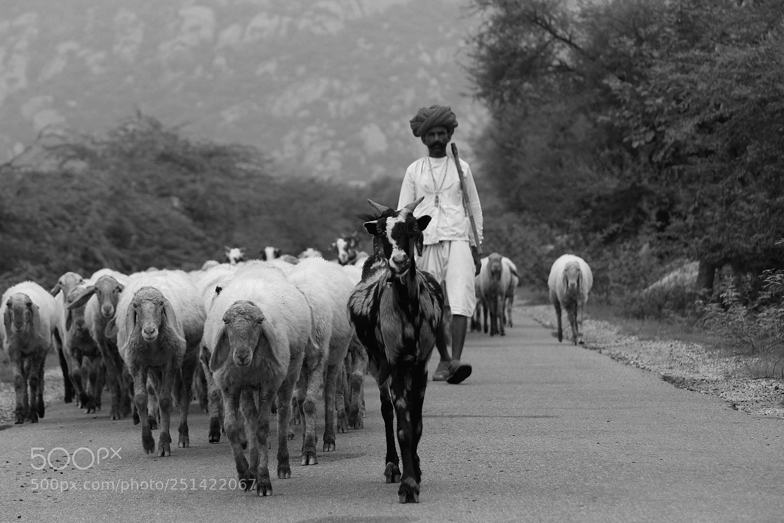 Canon EOS 700D (EOS Rebel T5i / EOS Kiss X7i) sample photo. ** countryside, rajasthan india ** photography