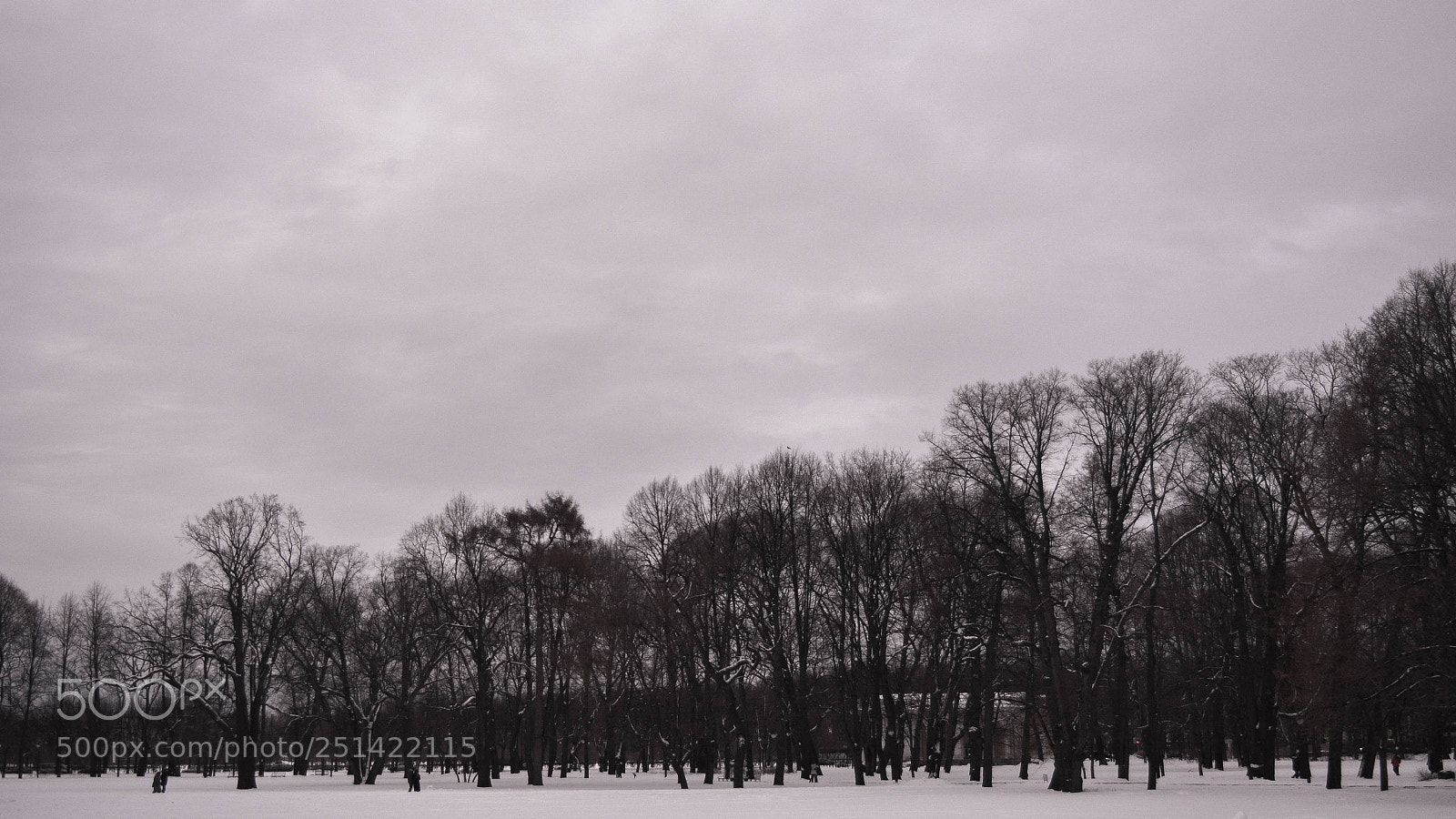 Nikon D5200 sample photo. Silence photography