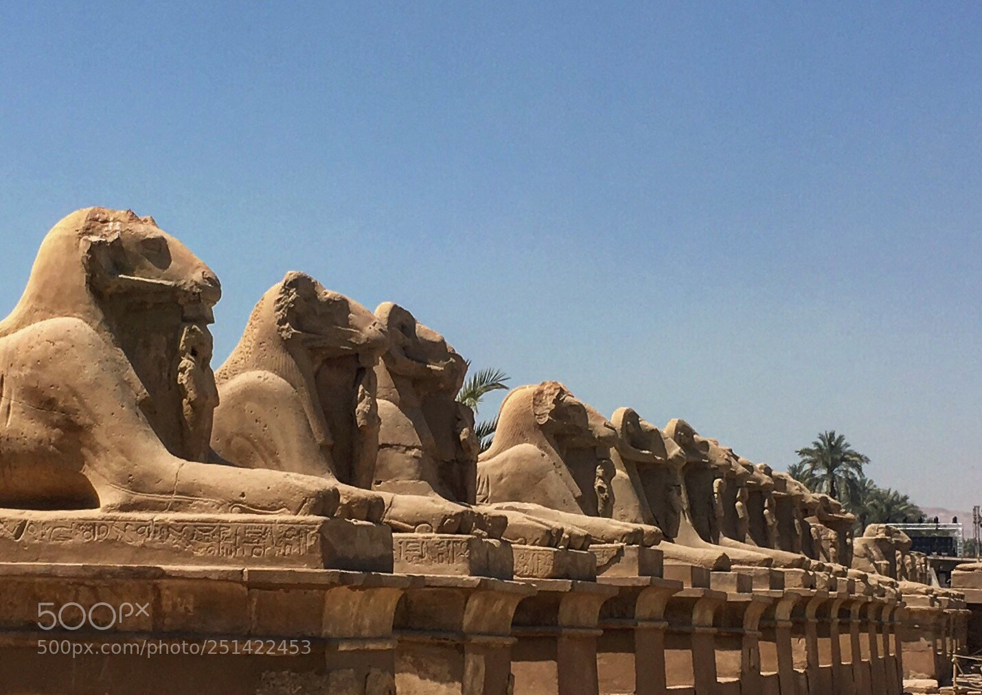 Apple iPhone 6s sample photo. Egypt 2018.

iphone photo  photography