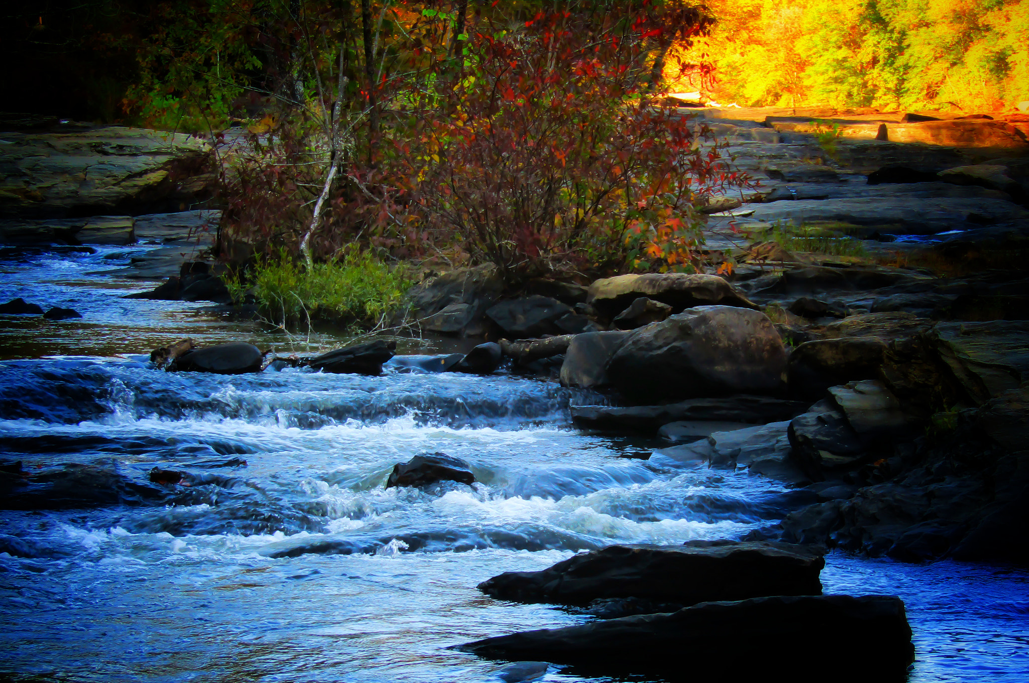 Canon PowerShot SX420 IS sample photo. Sweetwater photography