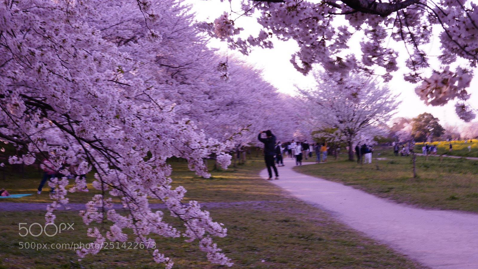 Sony a7R III sample photo. Untitled photography