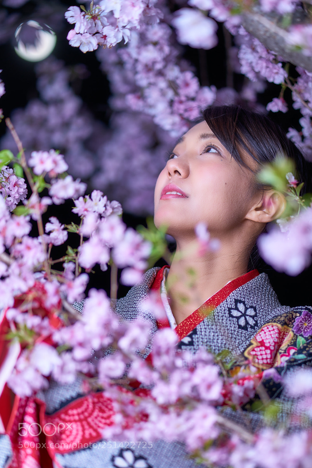 Sony a7R II sample photo. Sakura photography