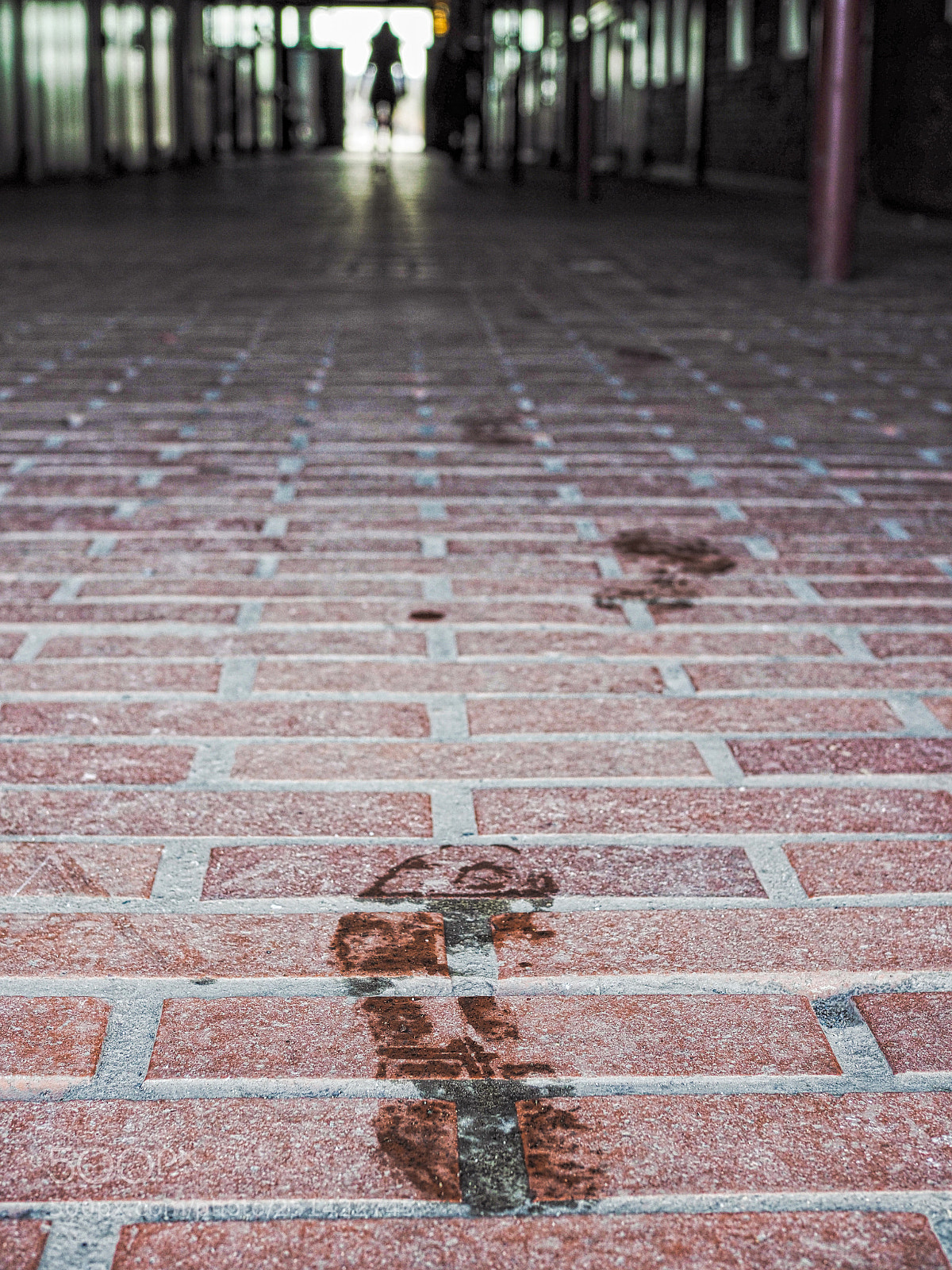 Olympus OM-D E-M1 Mark II sample photo. Footsteps photography