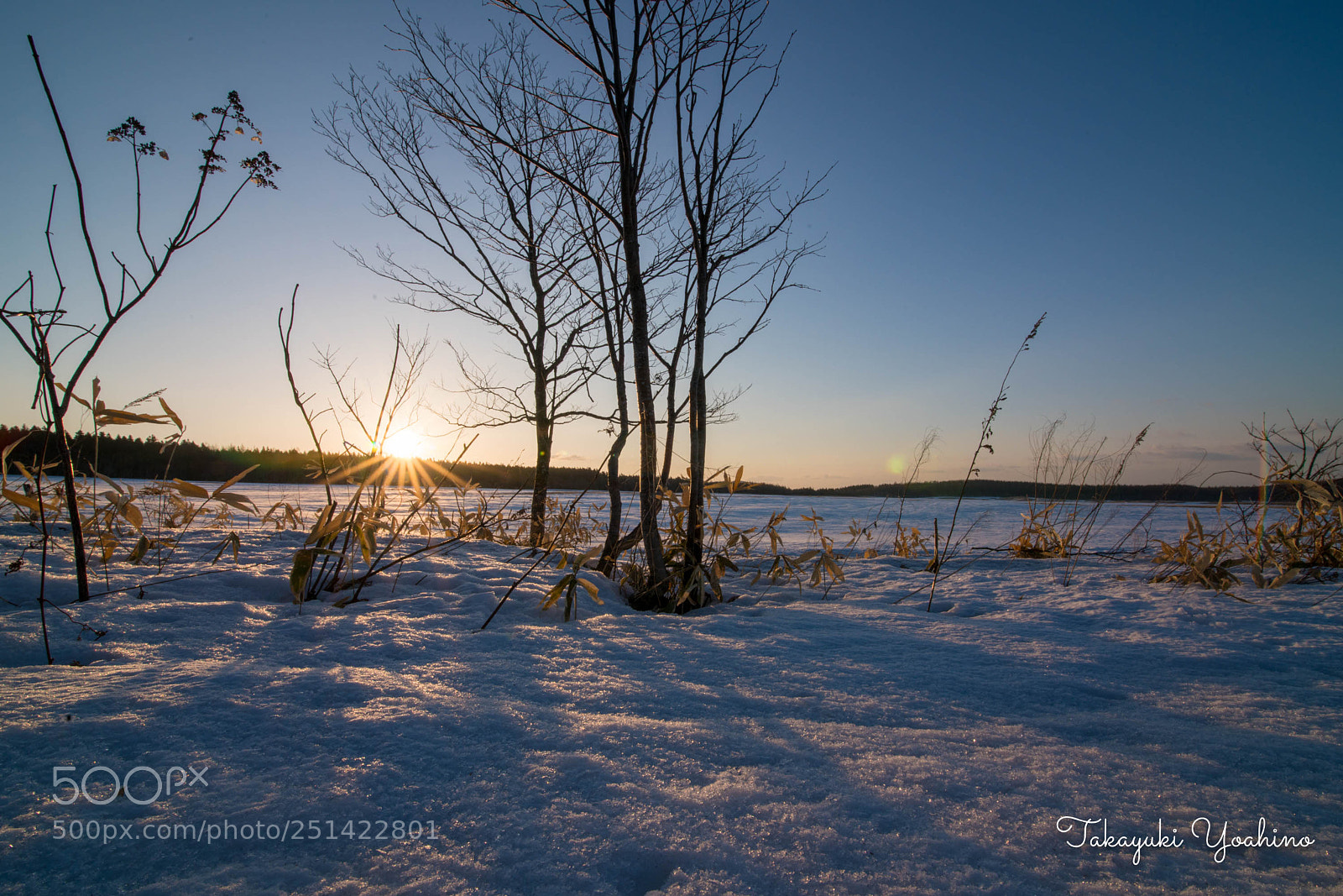 Sony a7R II sample photo. 北海道撮影旅行 photography