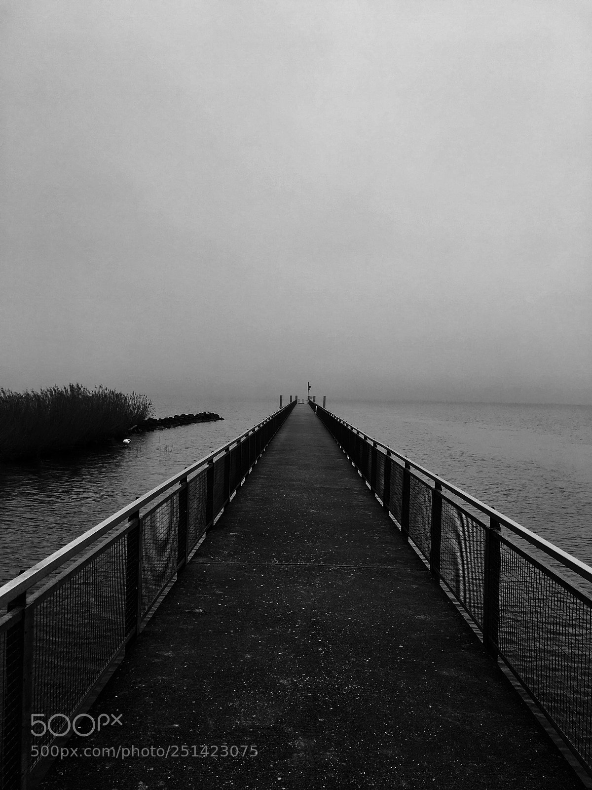 Apple iPhone 6s sample photo. Untitled photography