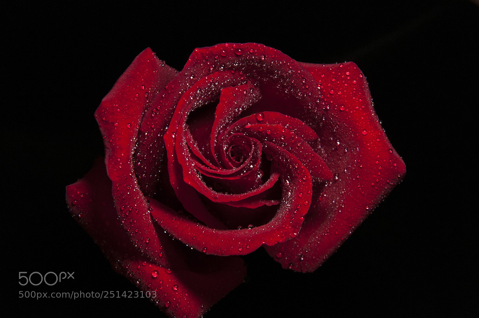 Nikon D90 sample photo. Red spiral photography