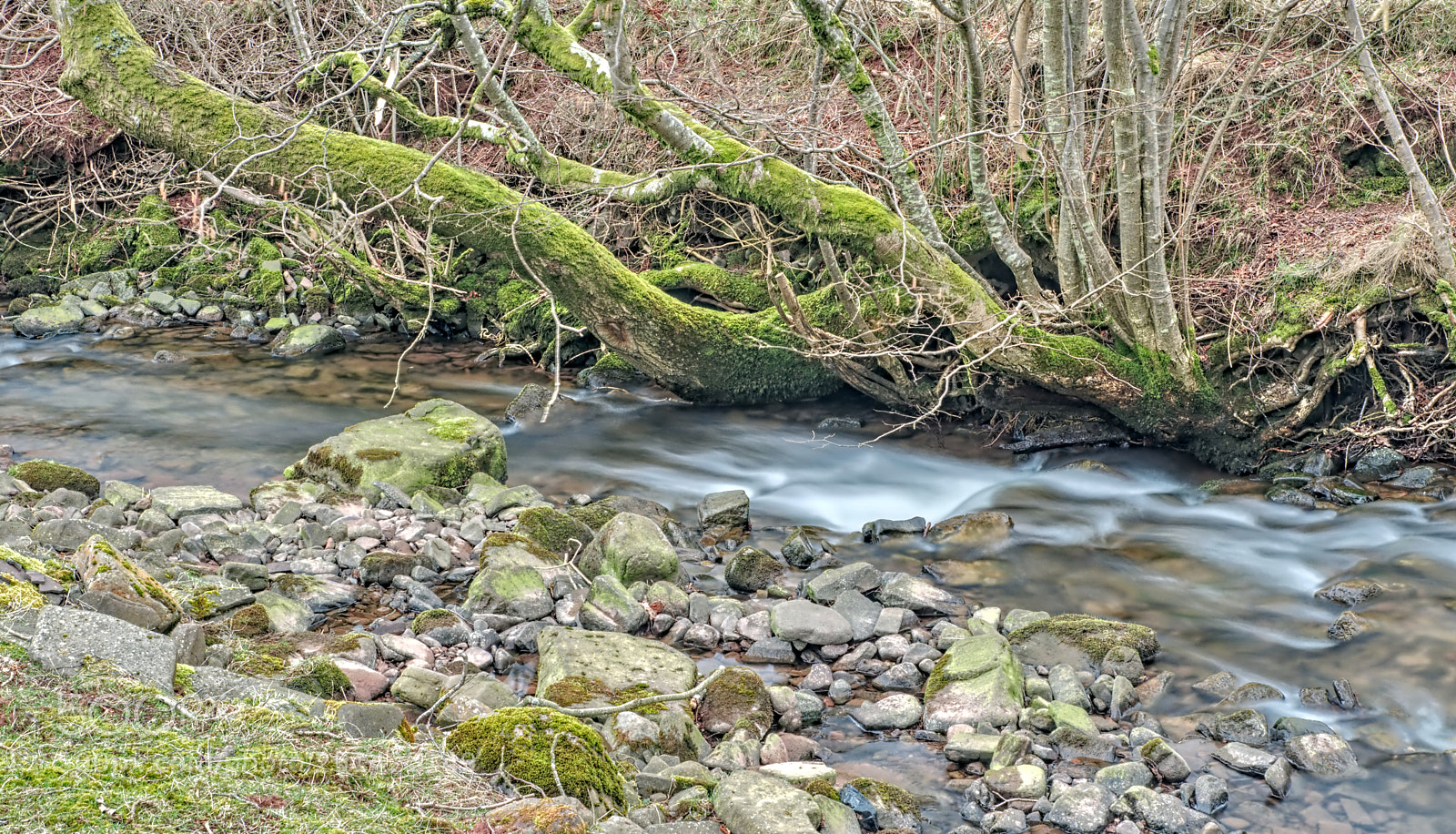 Pentax K-3 II sample photo. Flowing stream photography