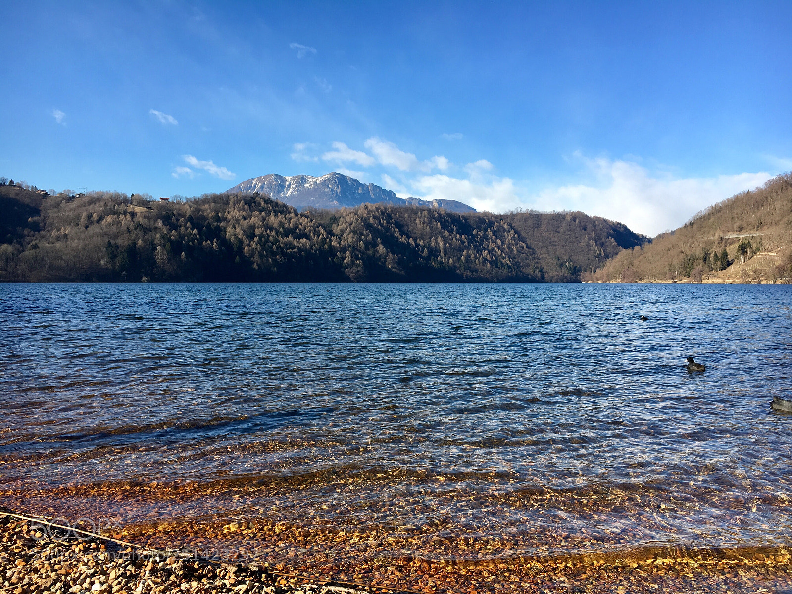 Apple iPhone 6s sample photo. Lago di levico photography